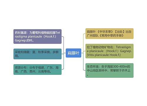 扁藤叶