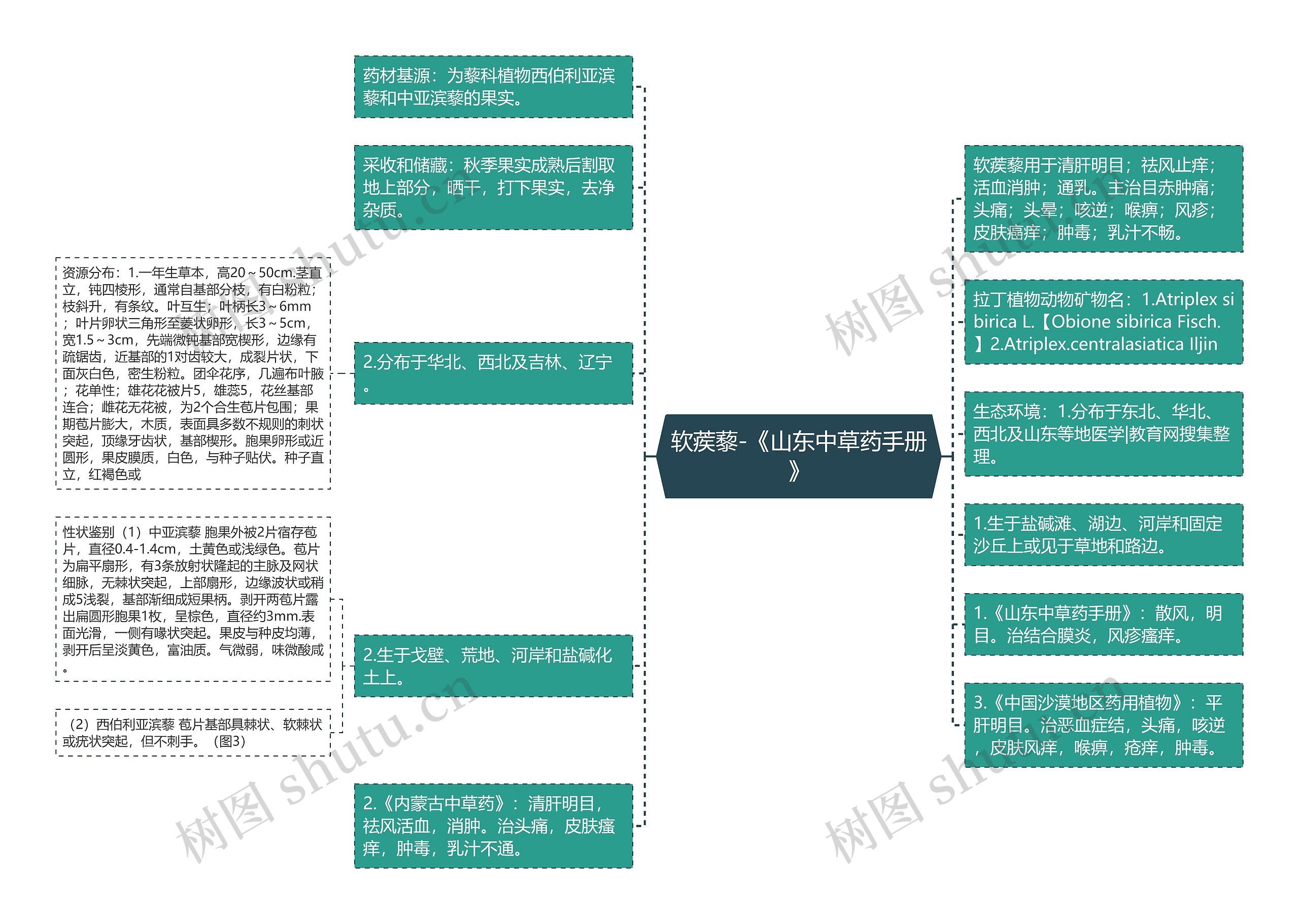 软蒺藜-《山东中草药手册》思维导图