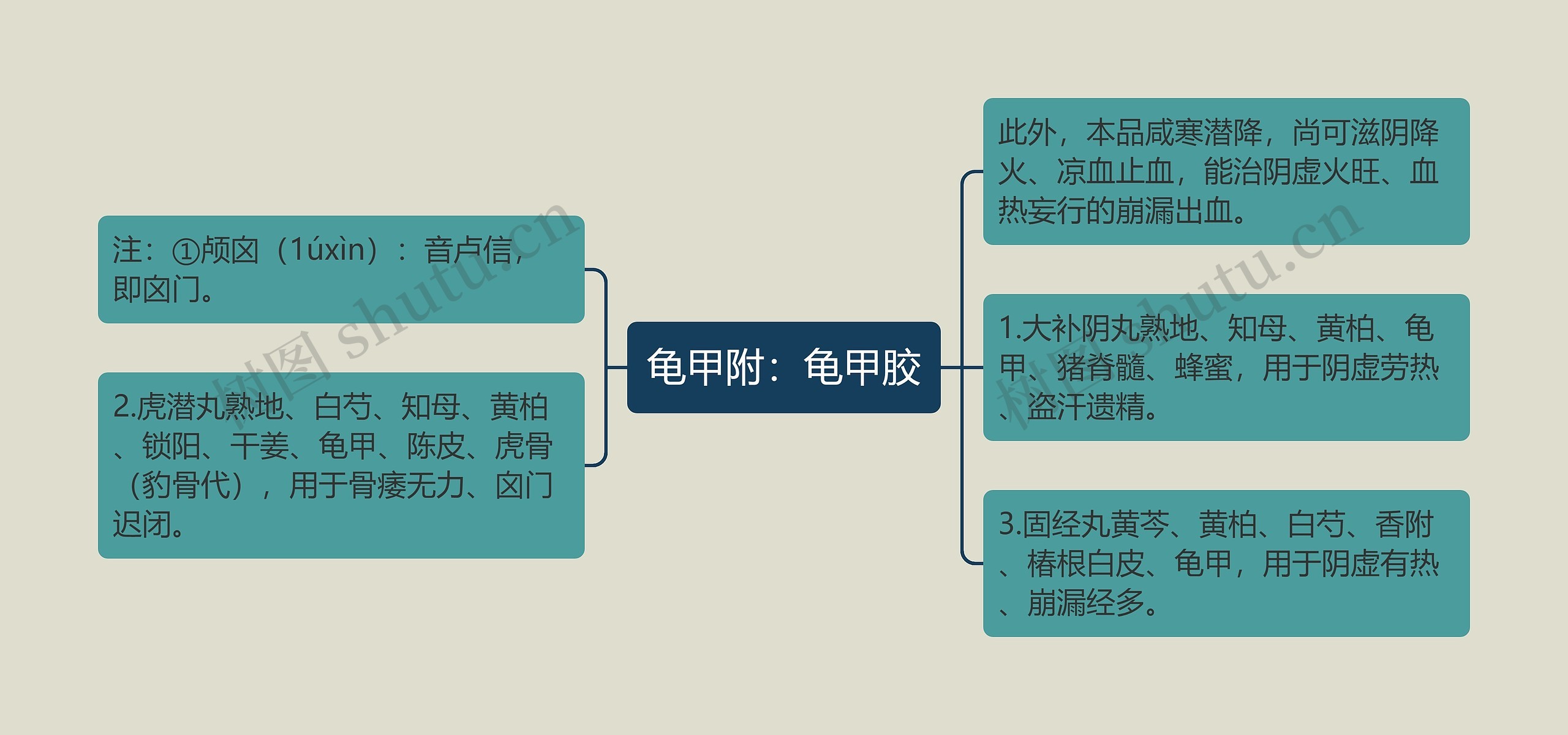 龟甲附：龟甲胶思维导图