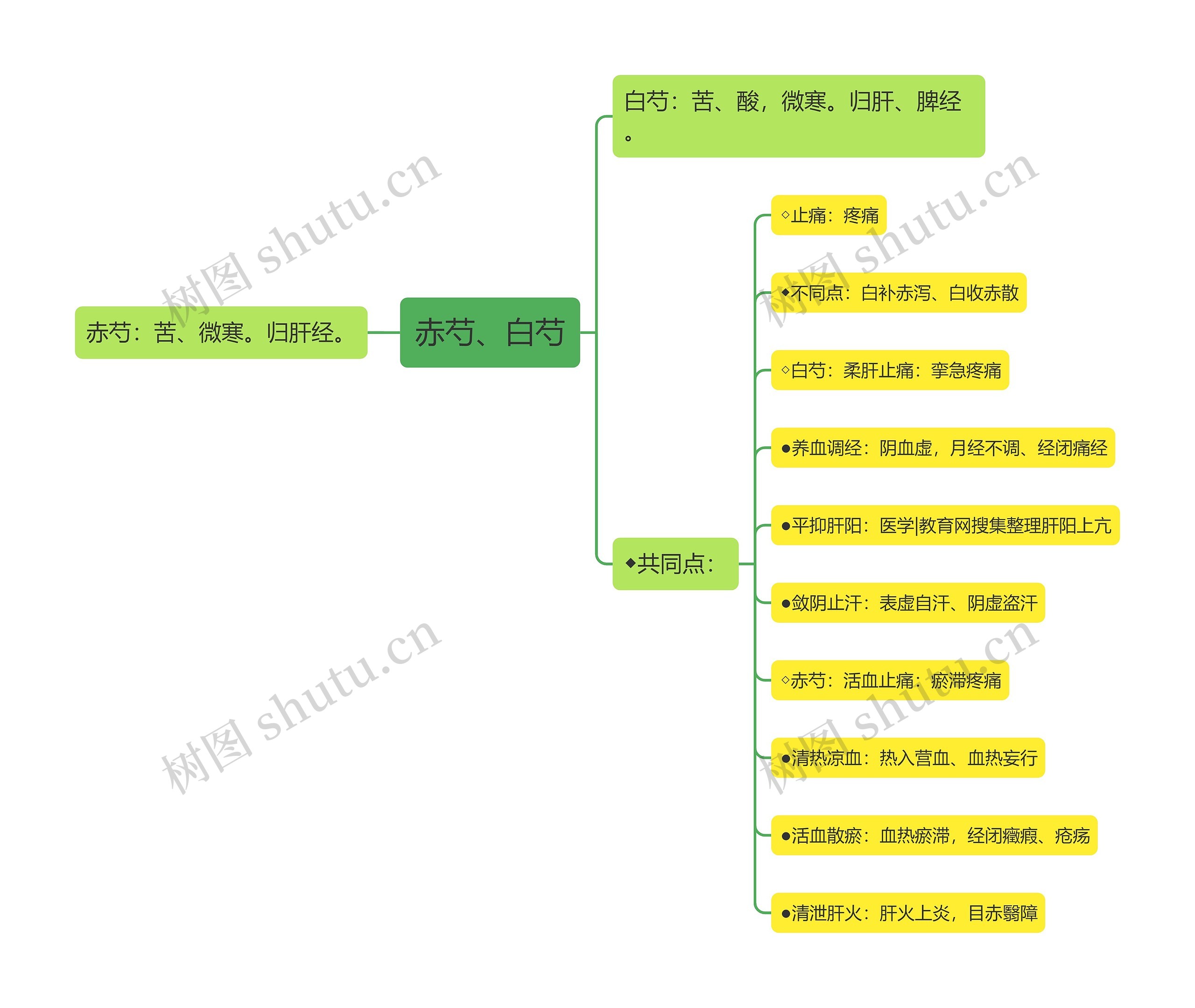 赤芍、白芍思维导图