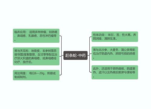 赶条蛇-中药