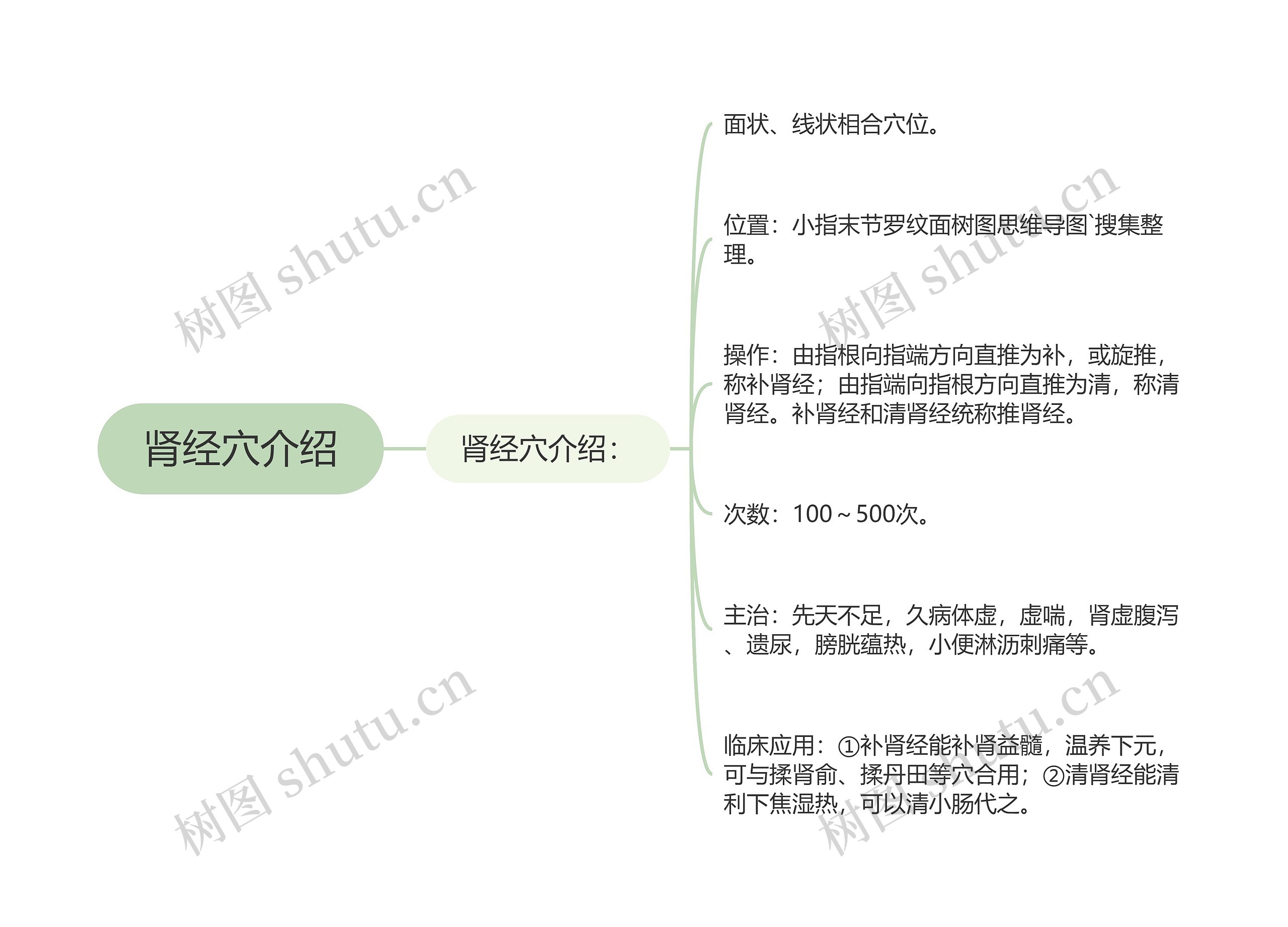 肾经穴介绍