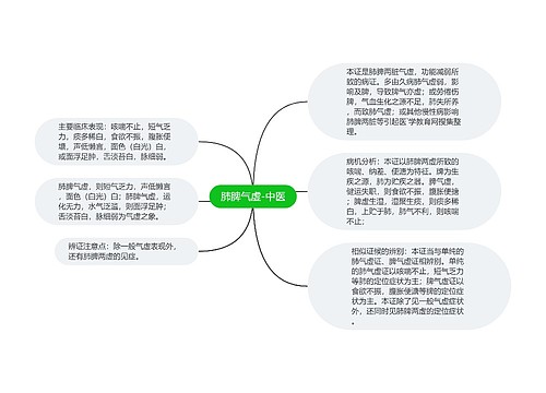 肺脾气虚-中医