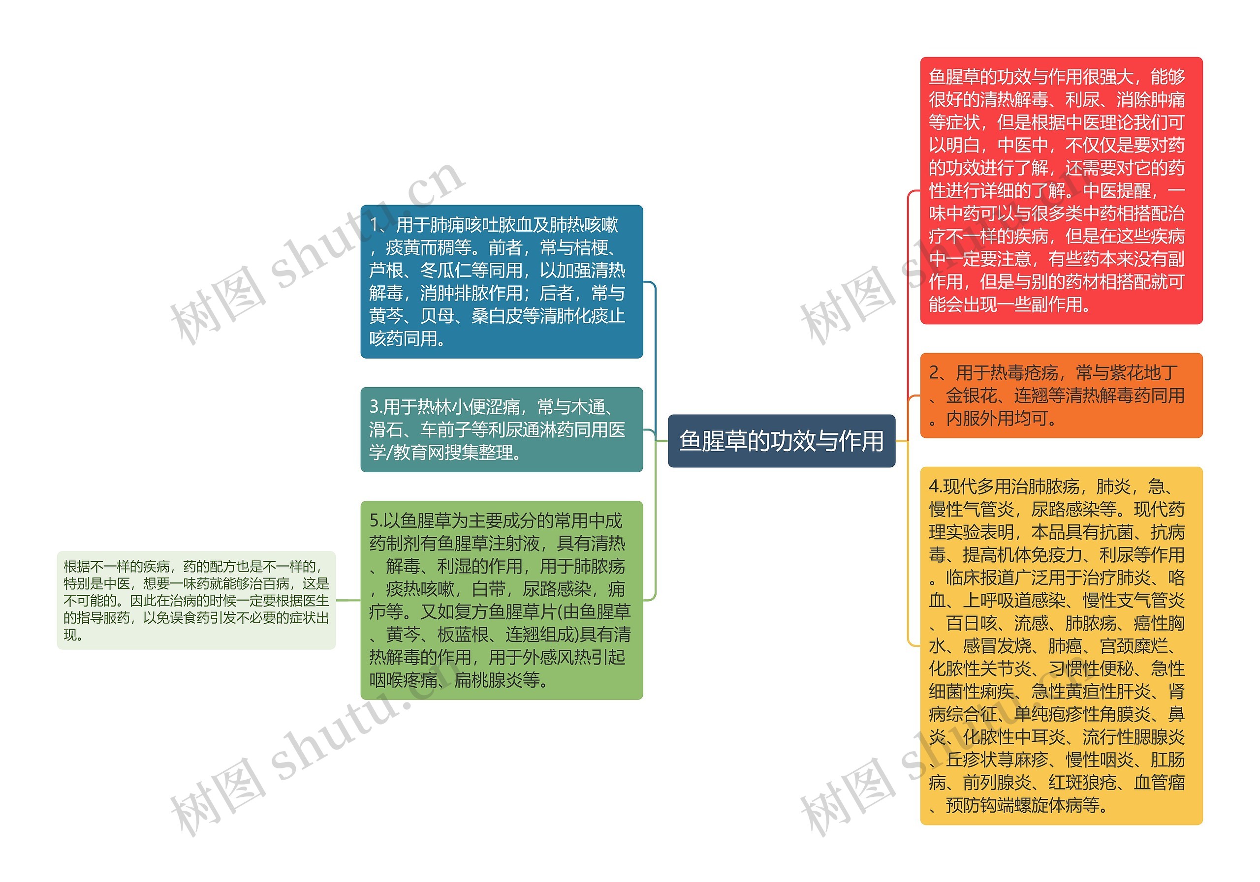 鱼腥草的功效与作用思维导图