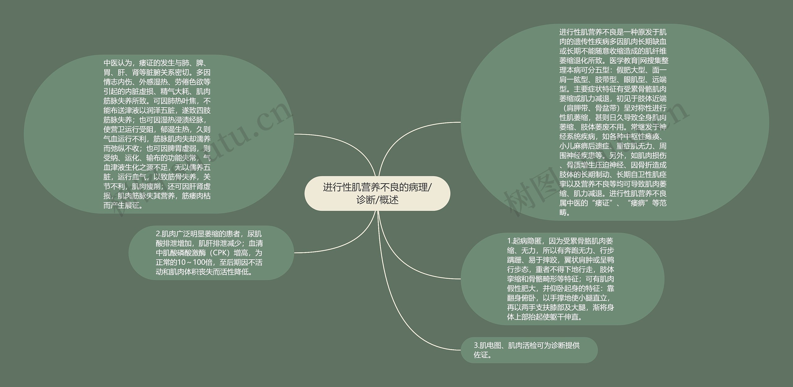进行性肌营养不良的病理/诊断/概述
