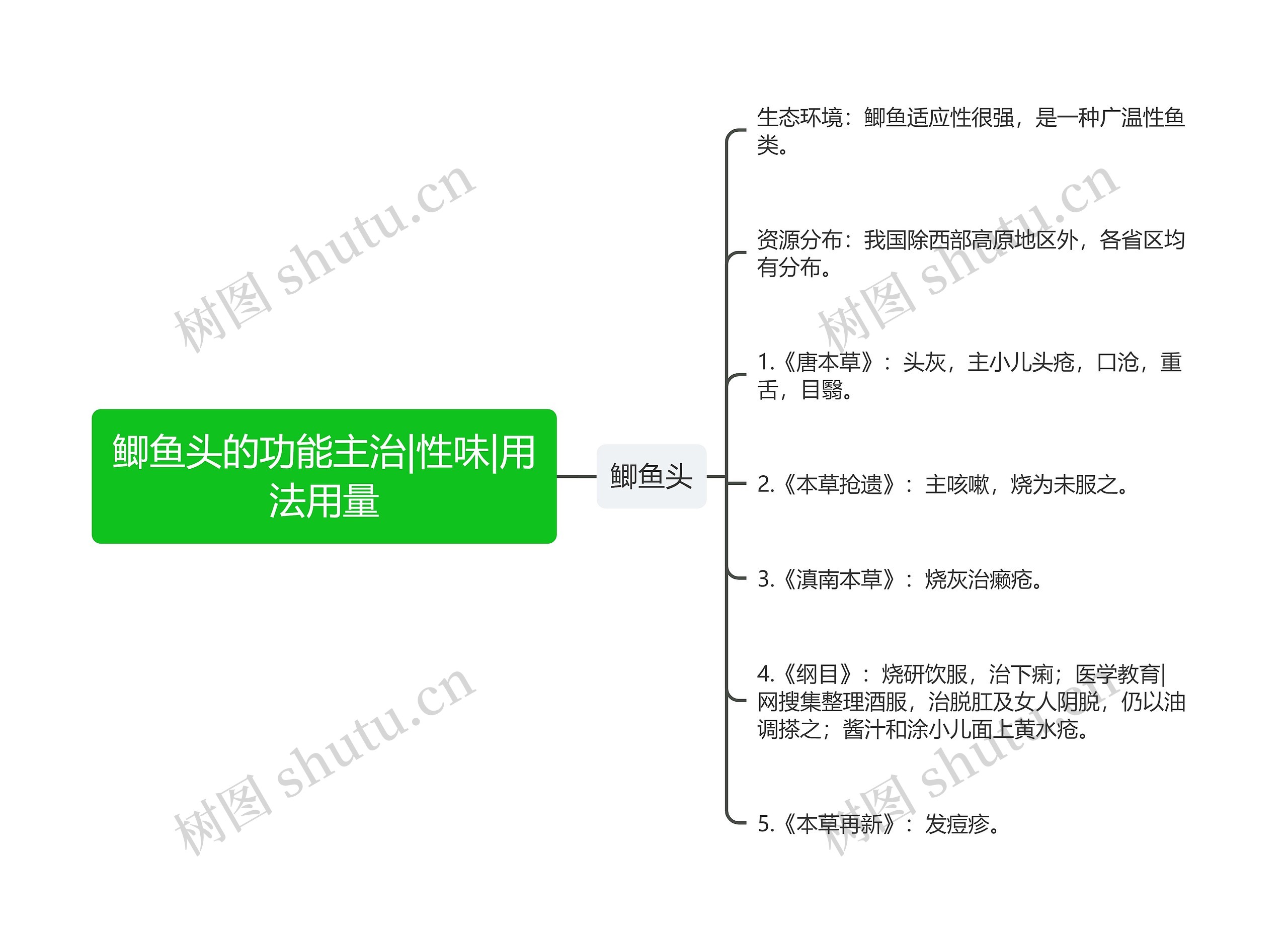 鲫鱼头的功能主治|性味|用法用量思维导图