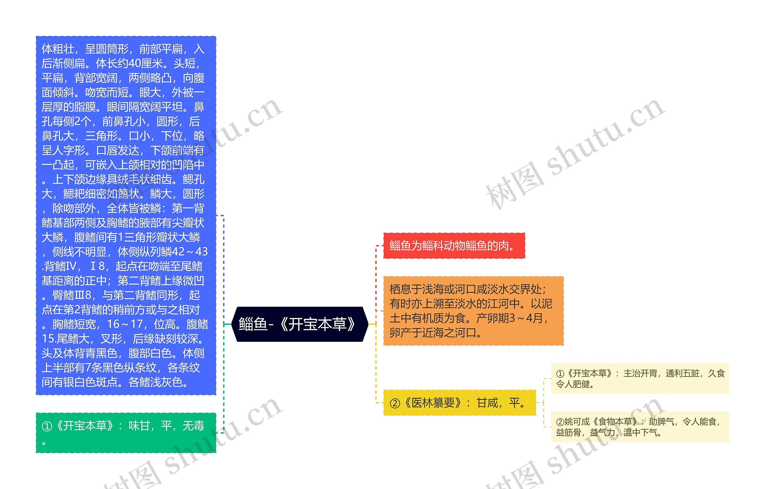 鲻鱼-《开宝本草》思维导图