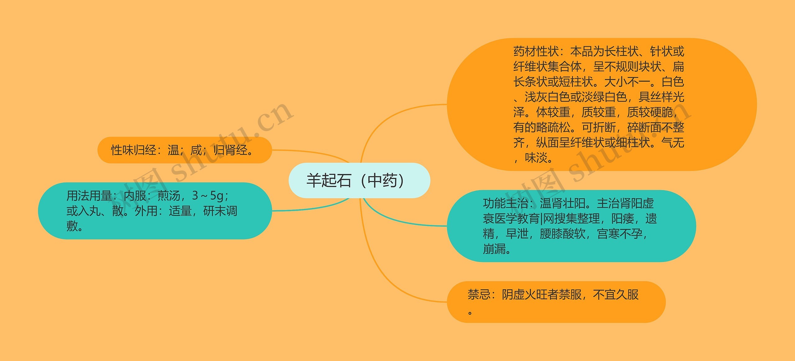 羊起石（中药）思维导图