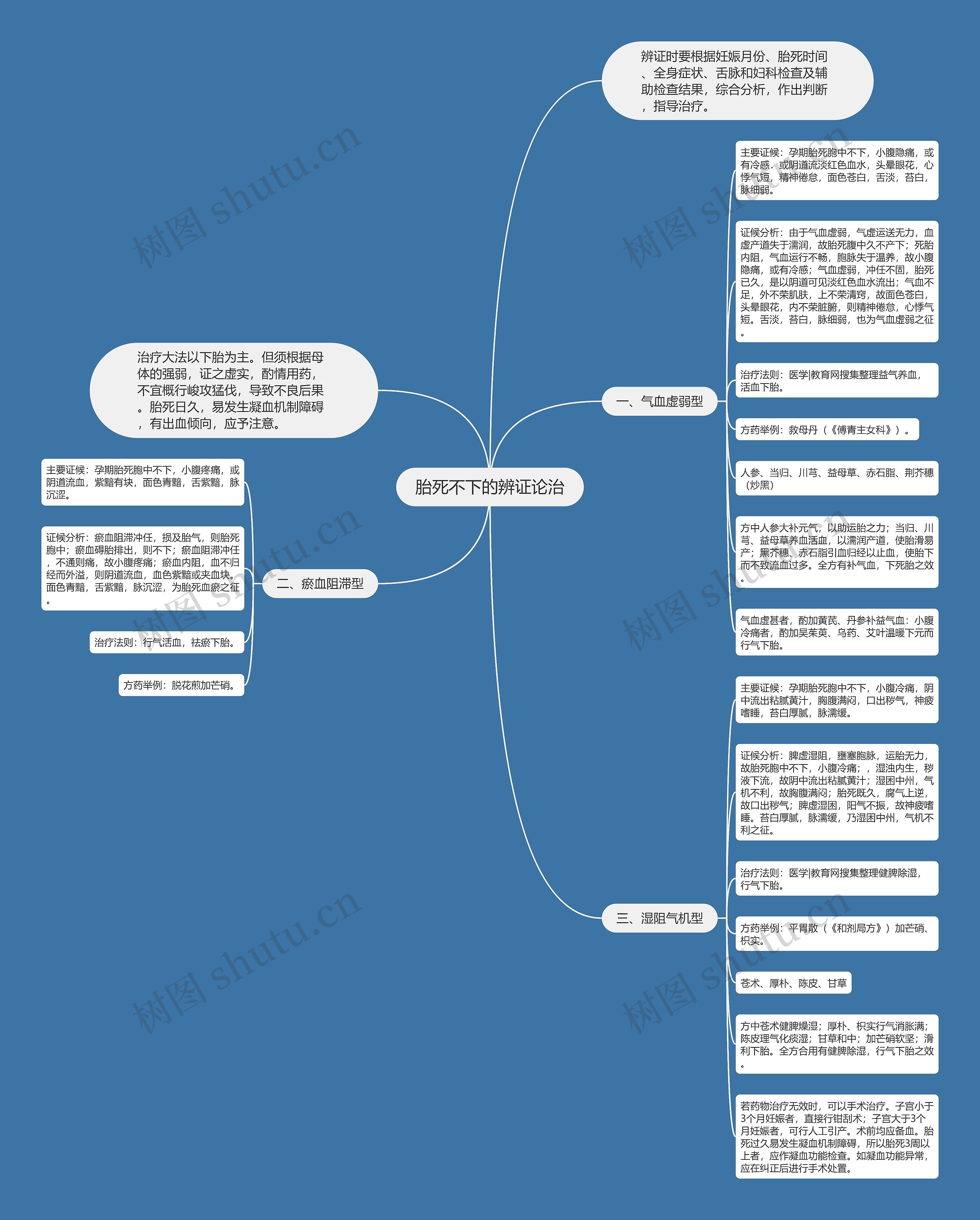 胎死不下的辨证论治思维导图