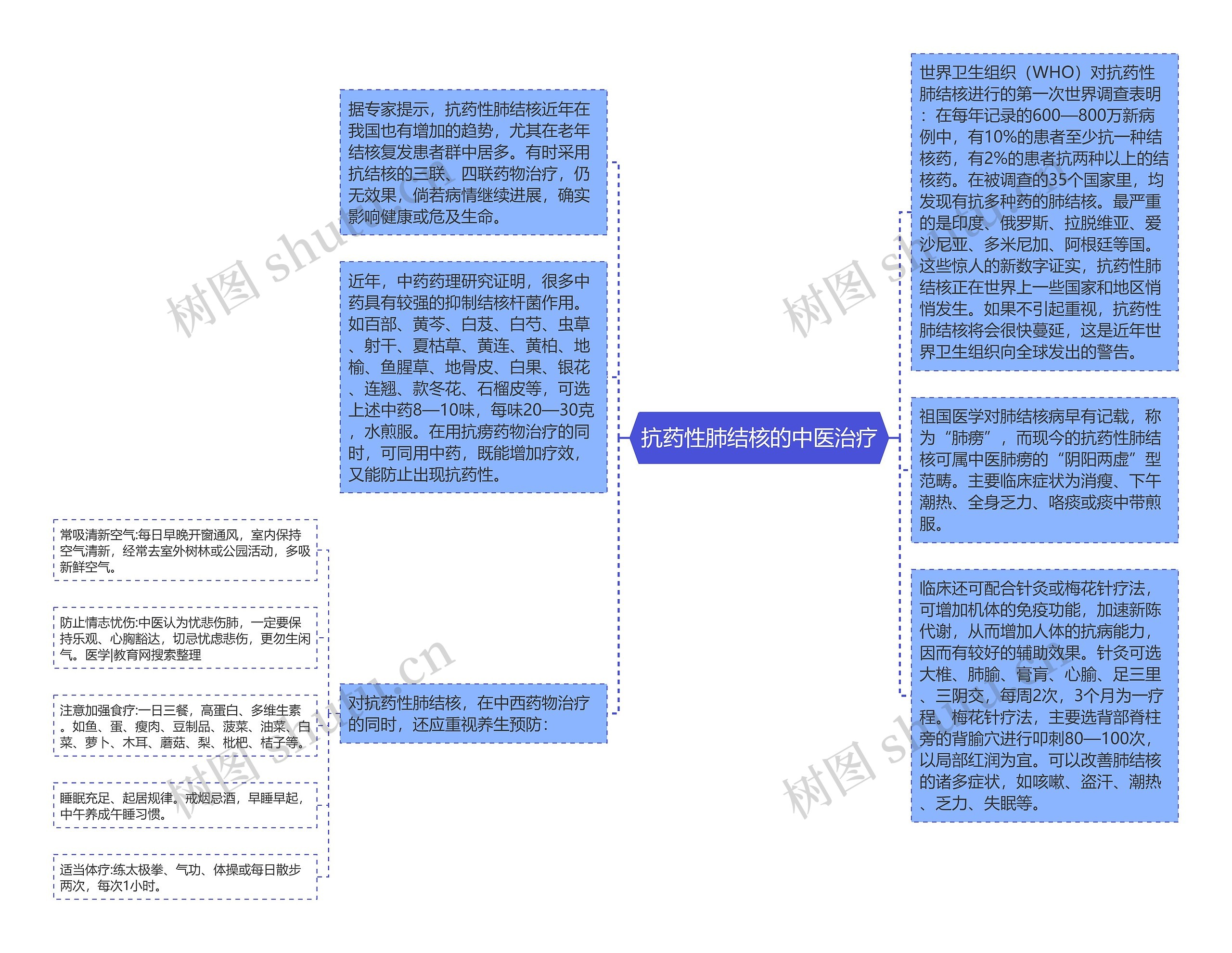 抗药性肺结核的中医治疗思维导图