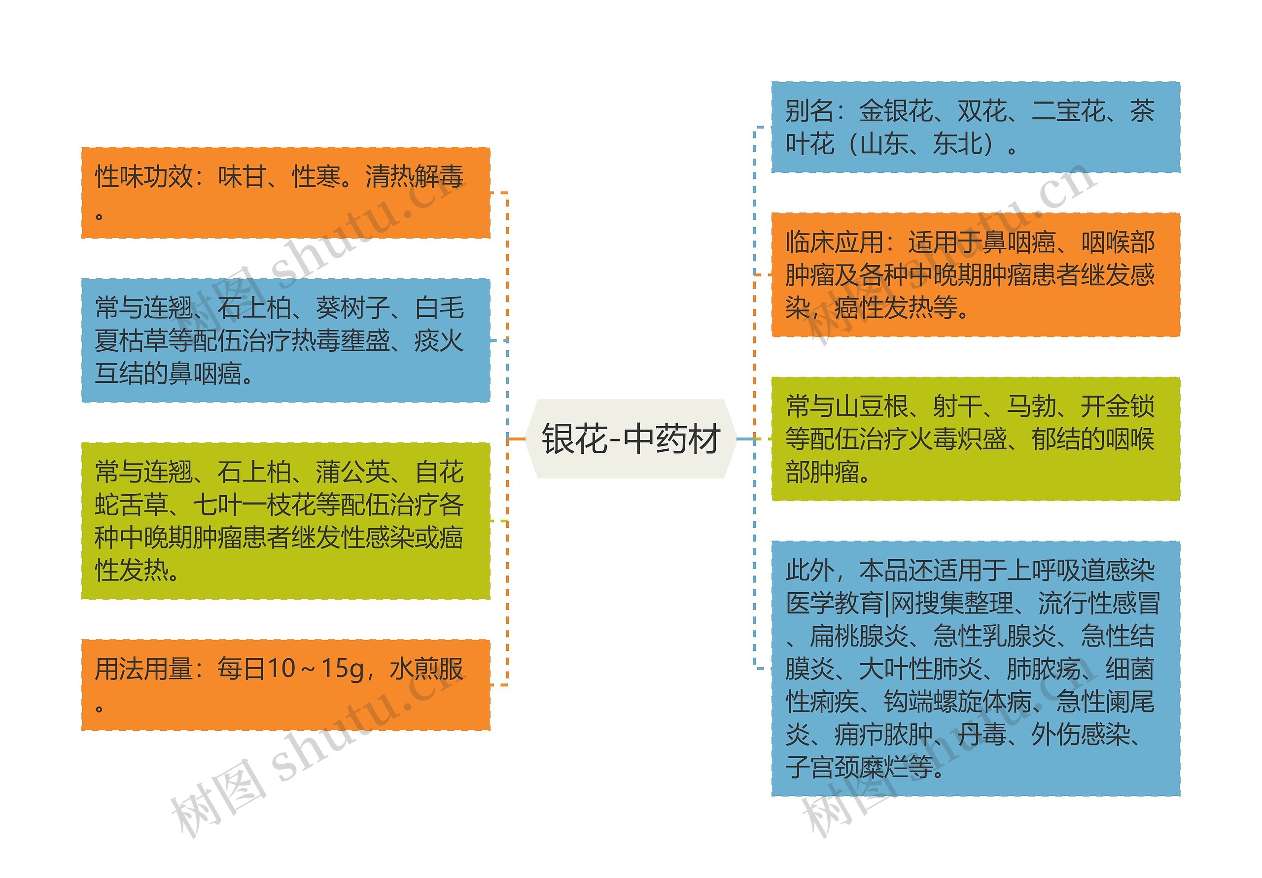 银花-中药材思维导图