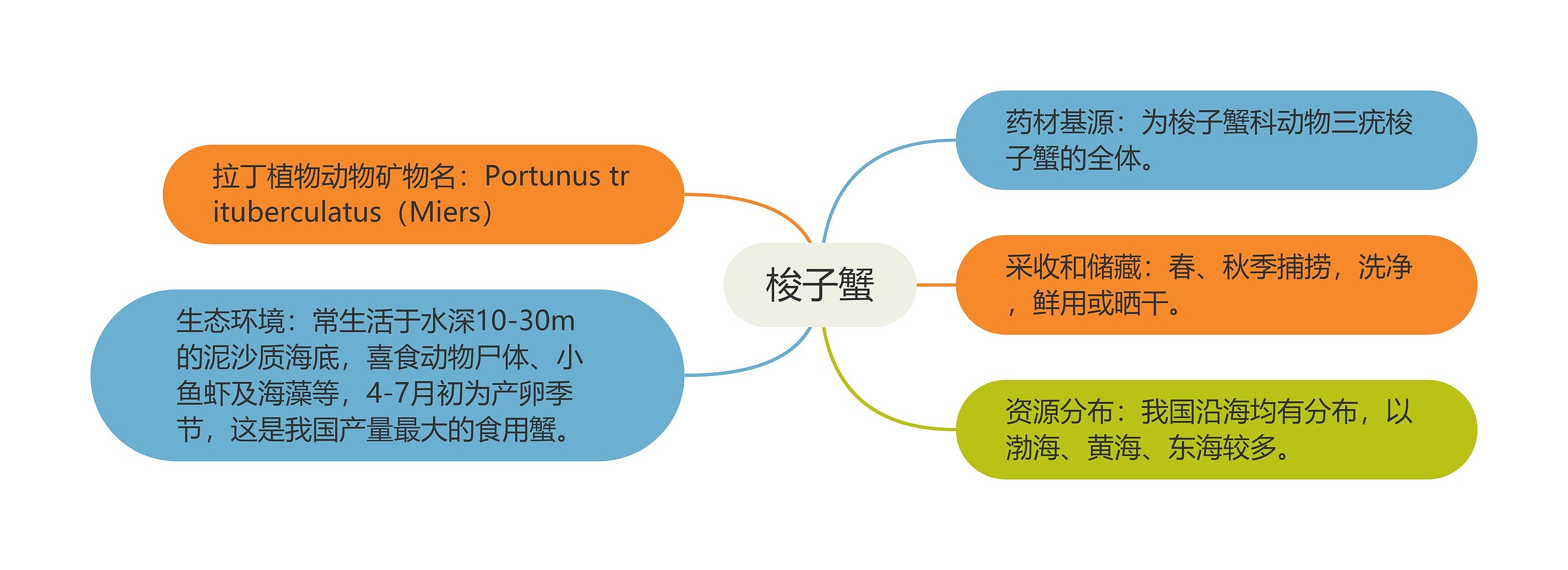 梭子蟹思维导图