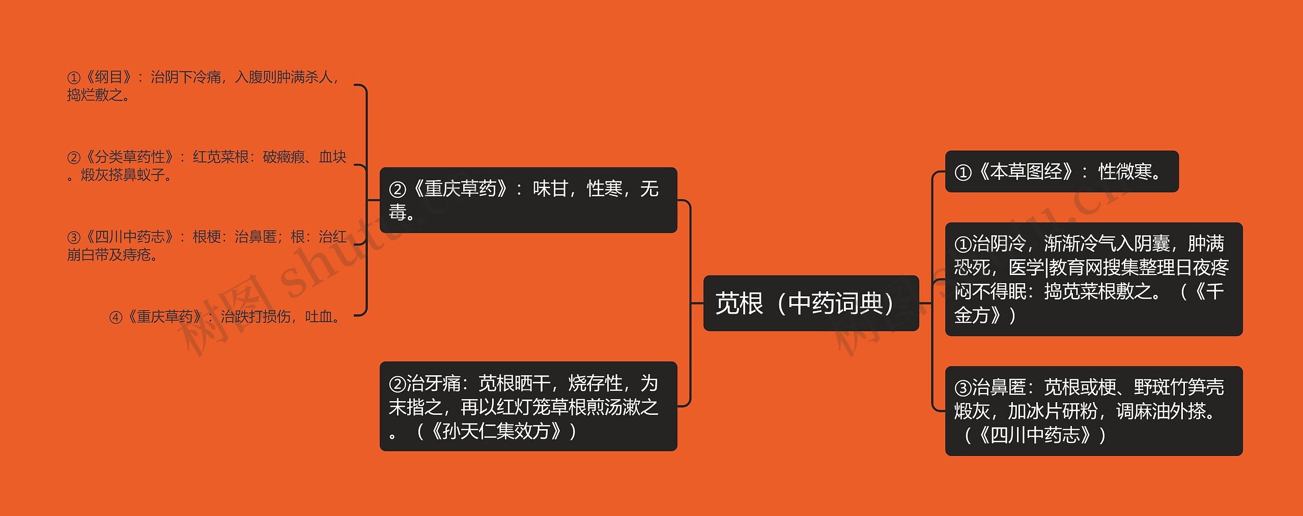 苋根（中药词典）思维导图