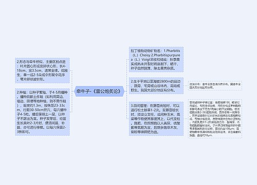 牵牛子-《雷公炮炙论》