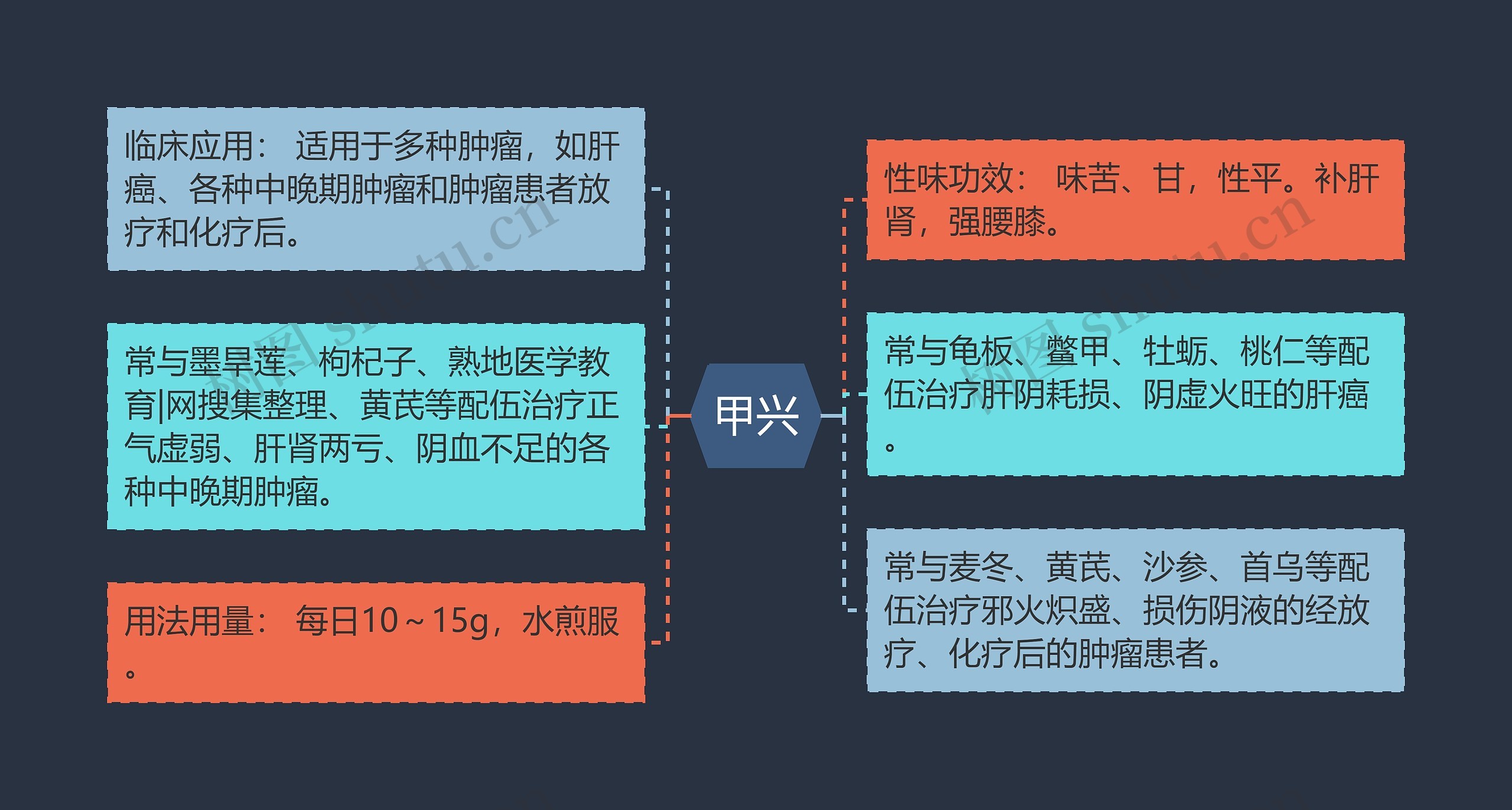 甲兴思维导图