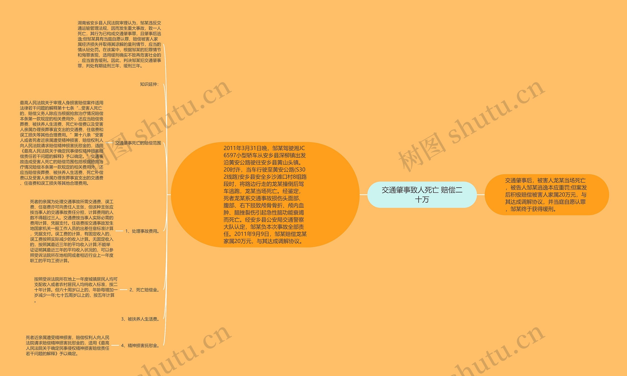 交通肇事致人死亡 赔偿二十万思维导图