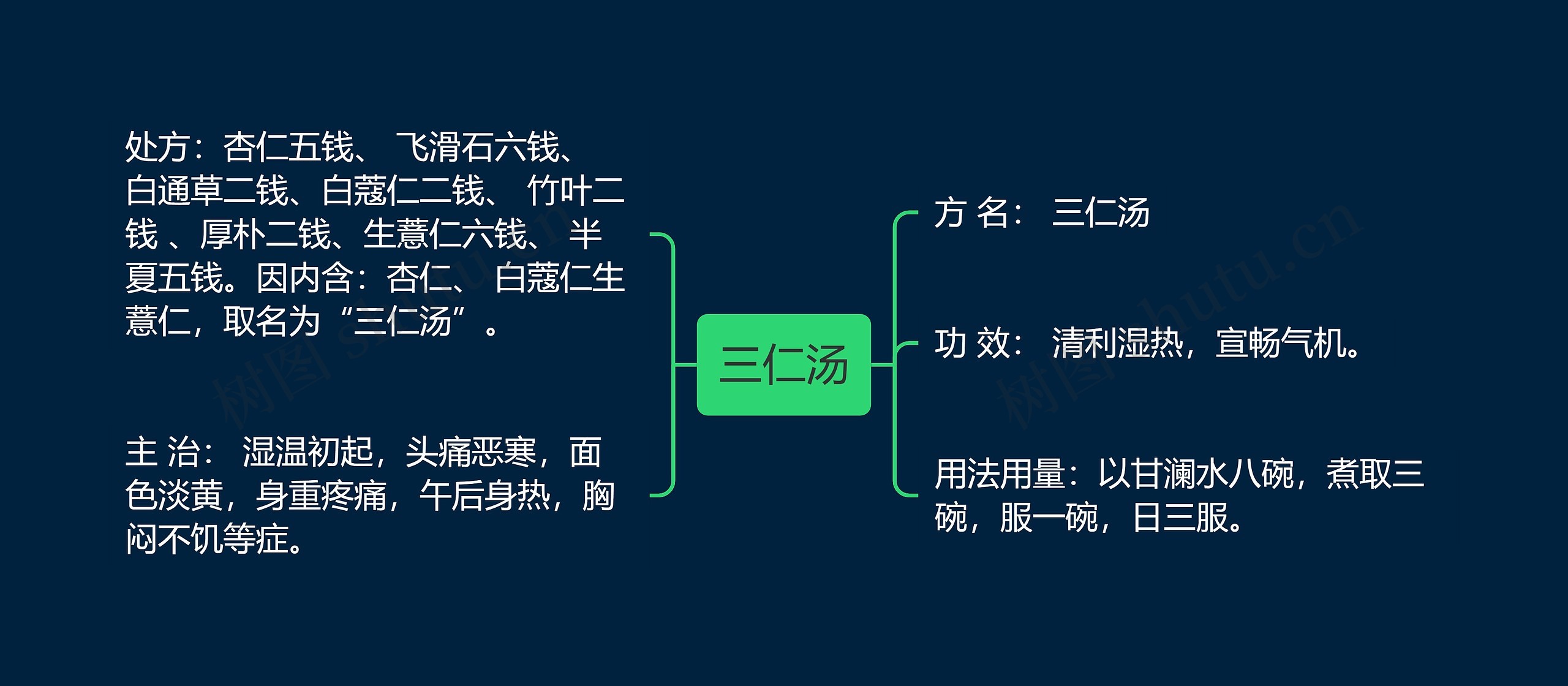 三仁汤思维导图