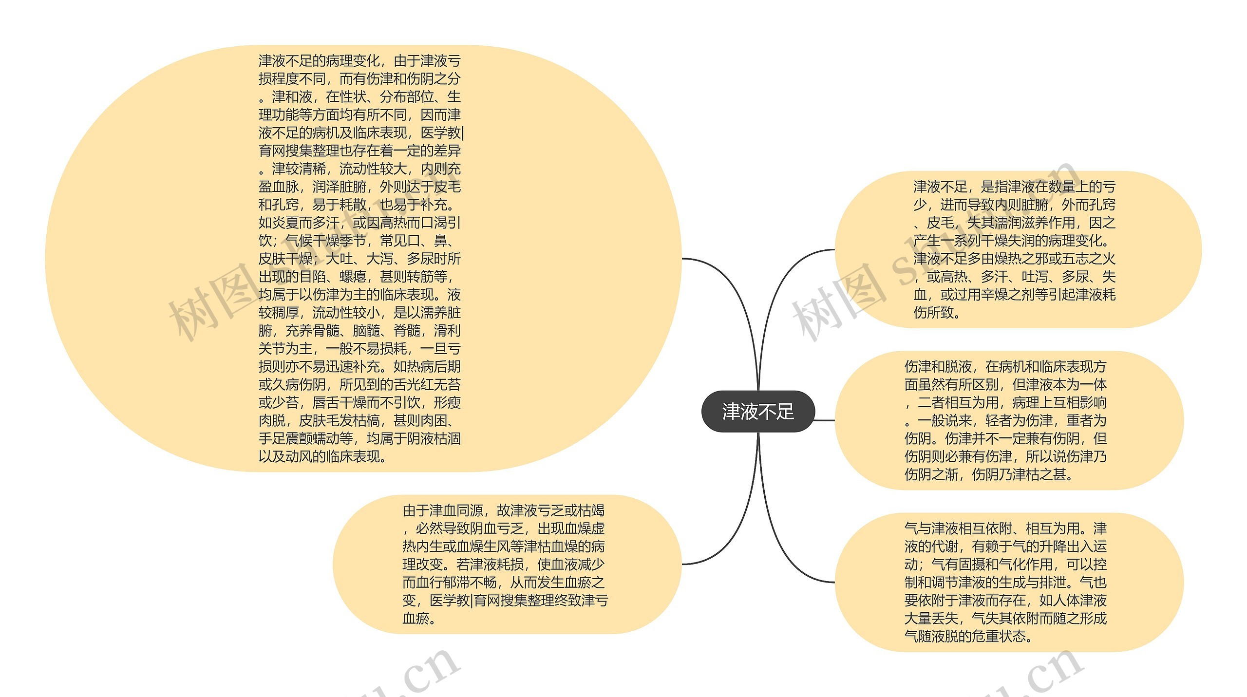 津液不足思维导图