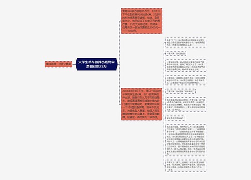 大学生单车游摔伤残终审落槌获赔25万