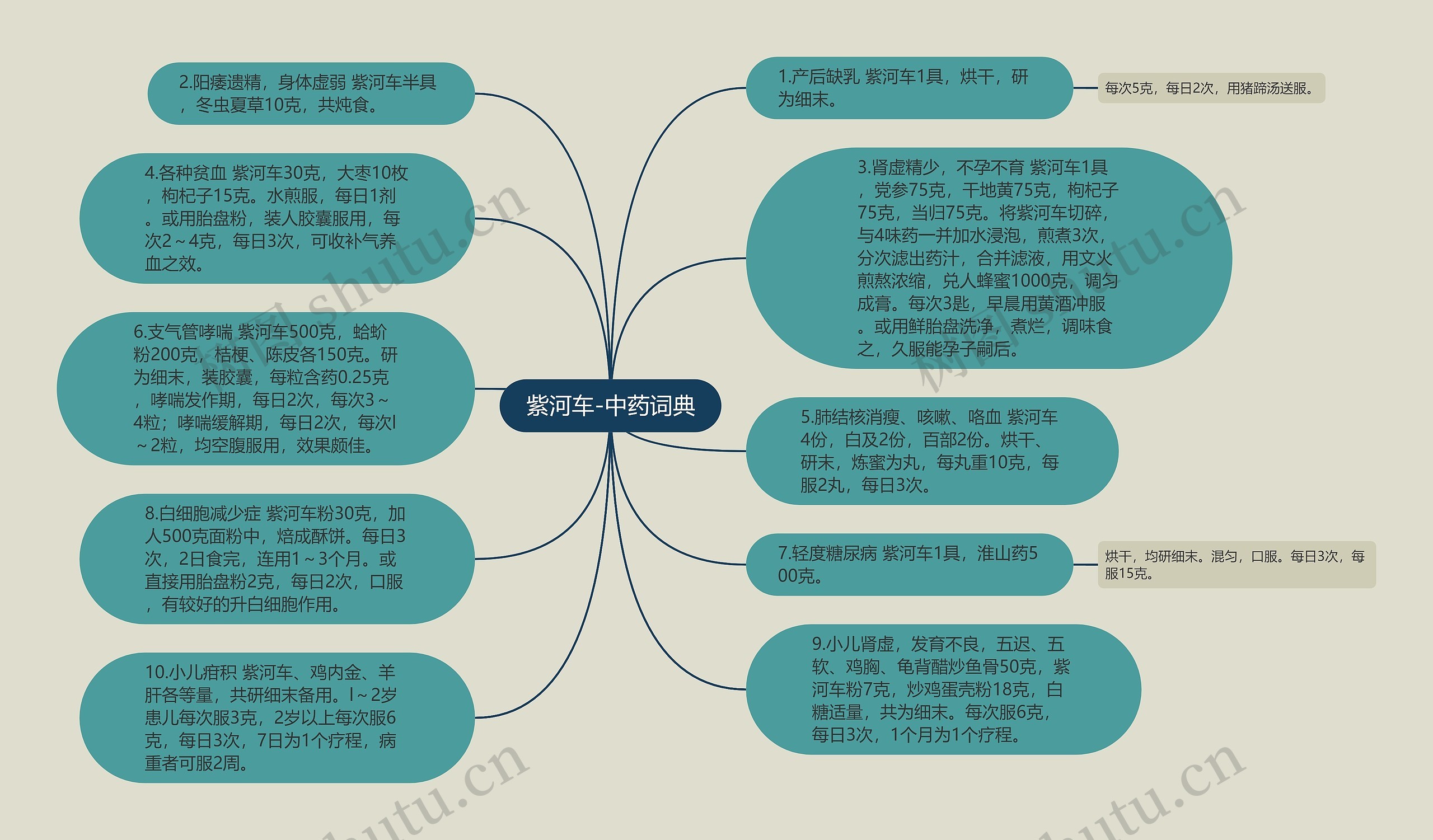 紫河车-中药词典思维导图