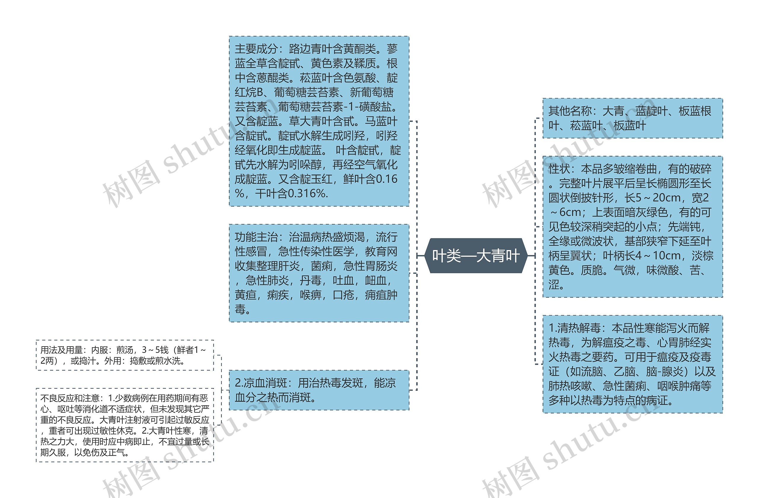 叶类—大青叶思维导图