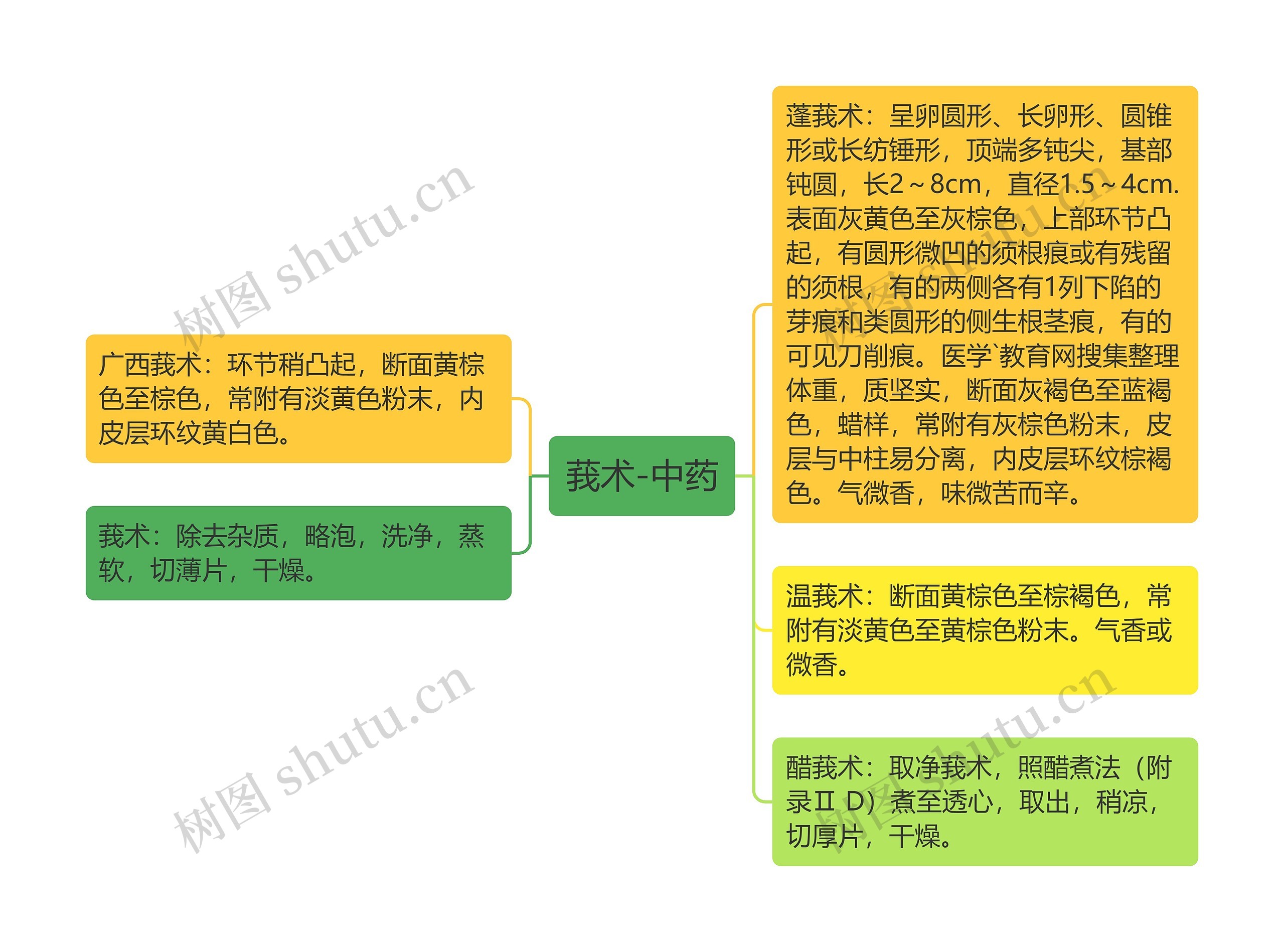 莪术-中药 莪术-中药