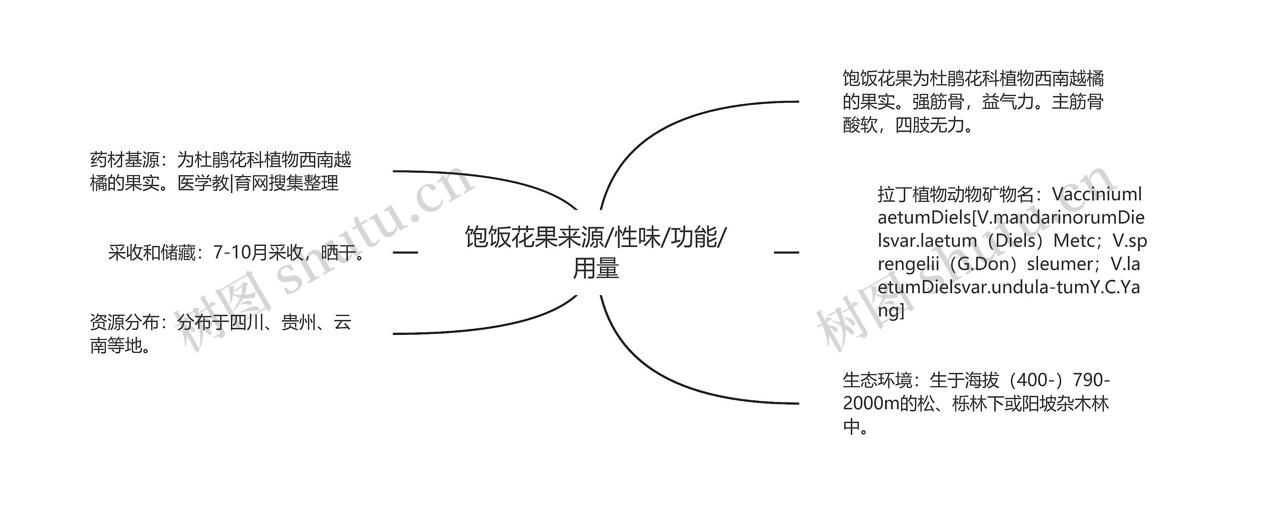 饱饭花果来源/性味/功能/用量思维导图