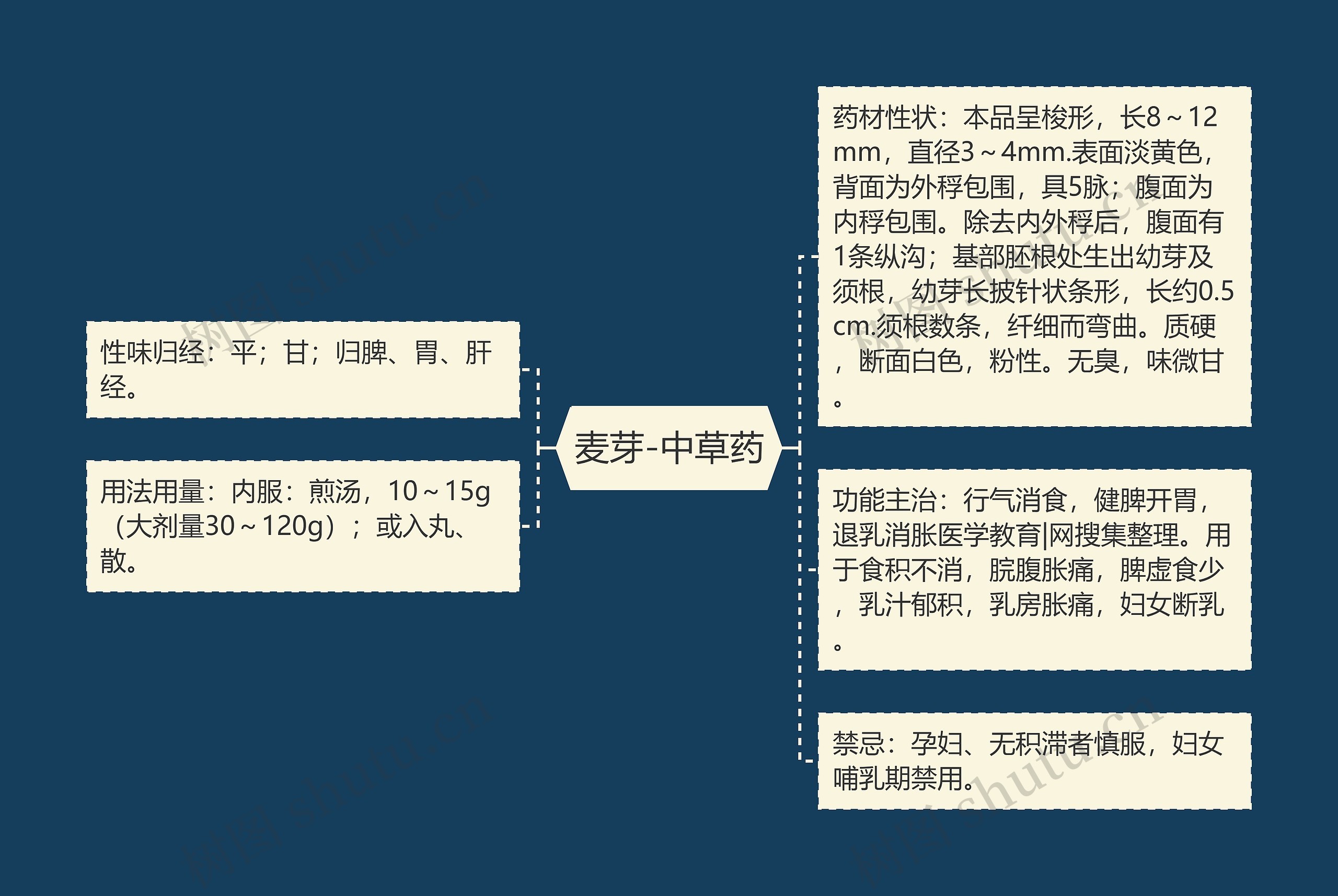 麦芽-中草药思维导图