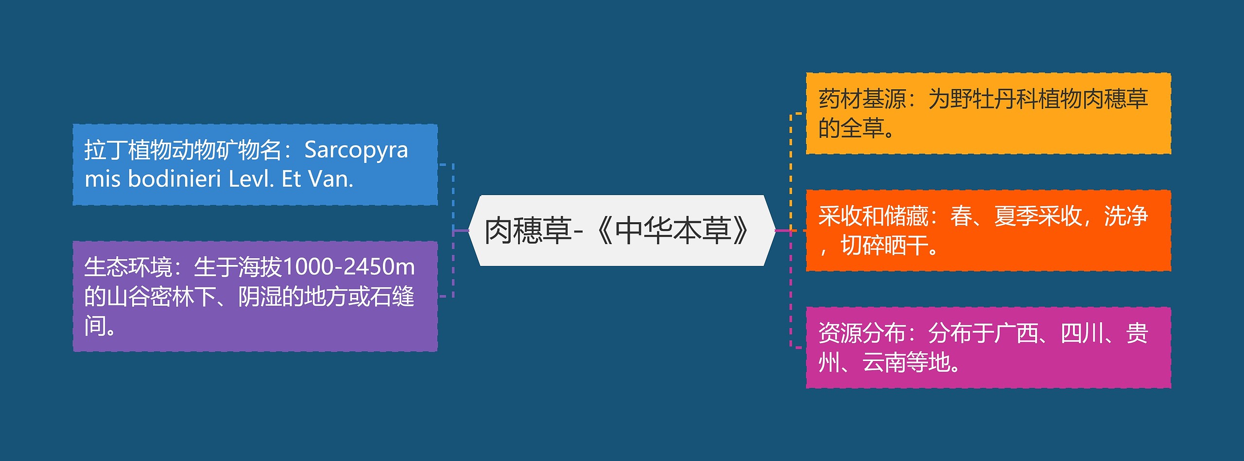 肉穗草-《中华本草》思维导图