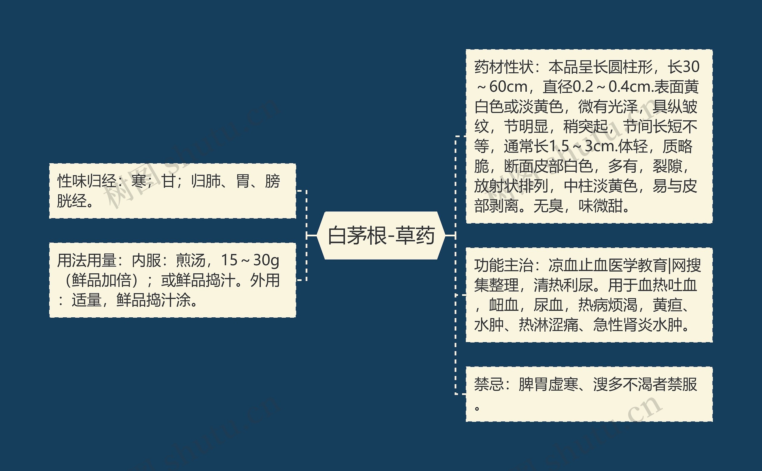 白茅根-草药思维导图