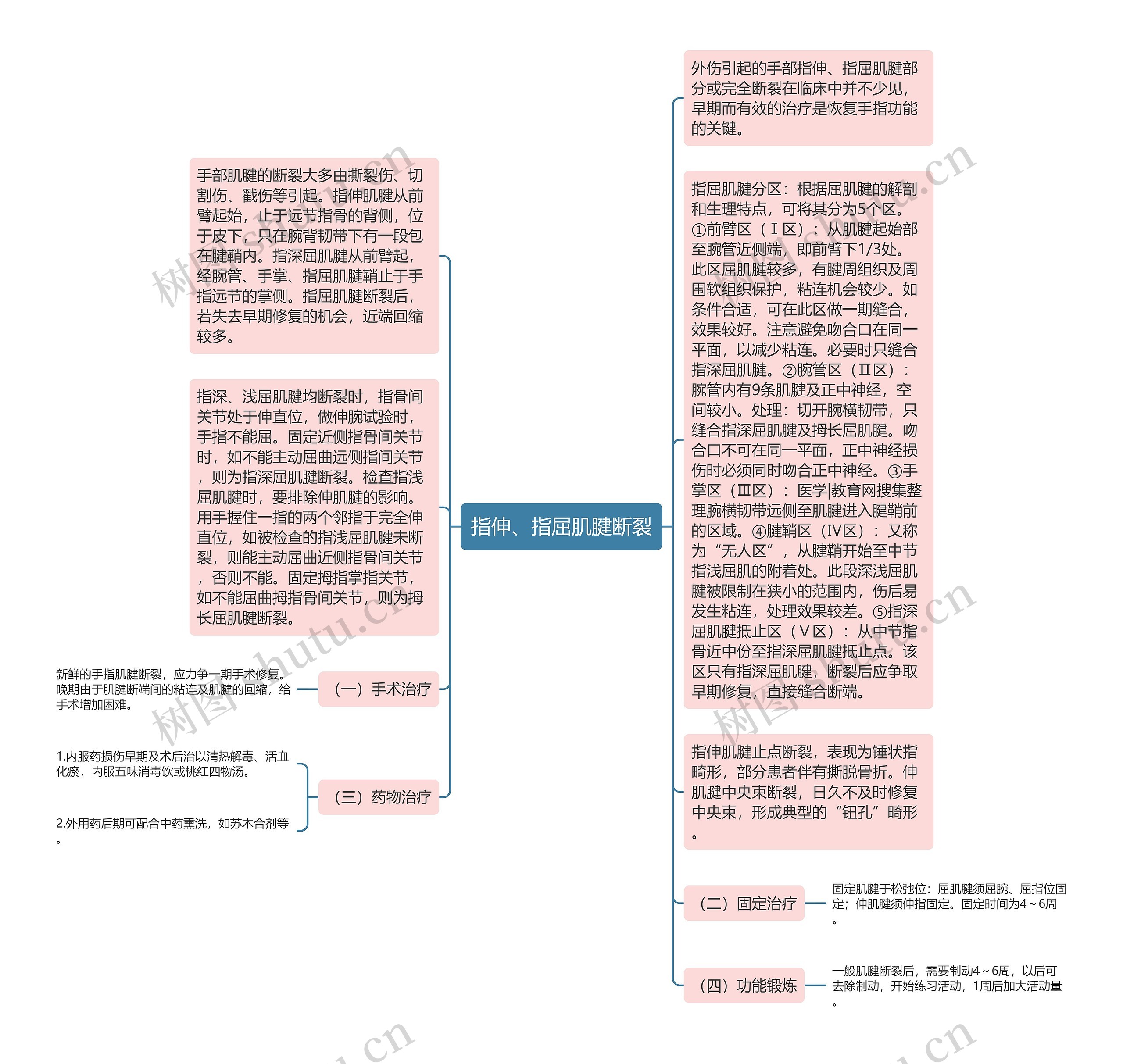 指伸、指屈肌腱断裂