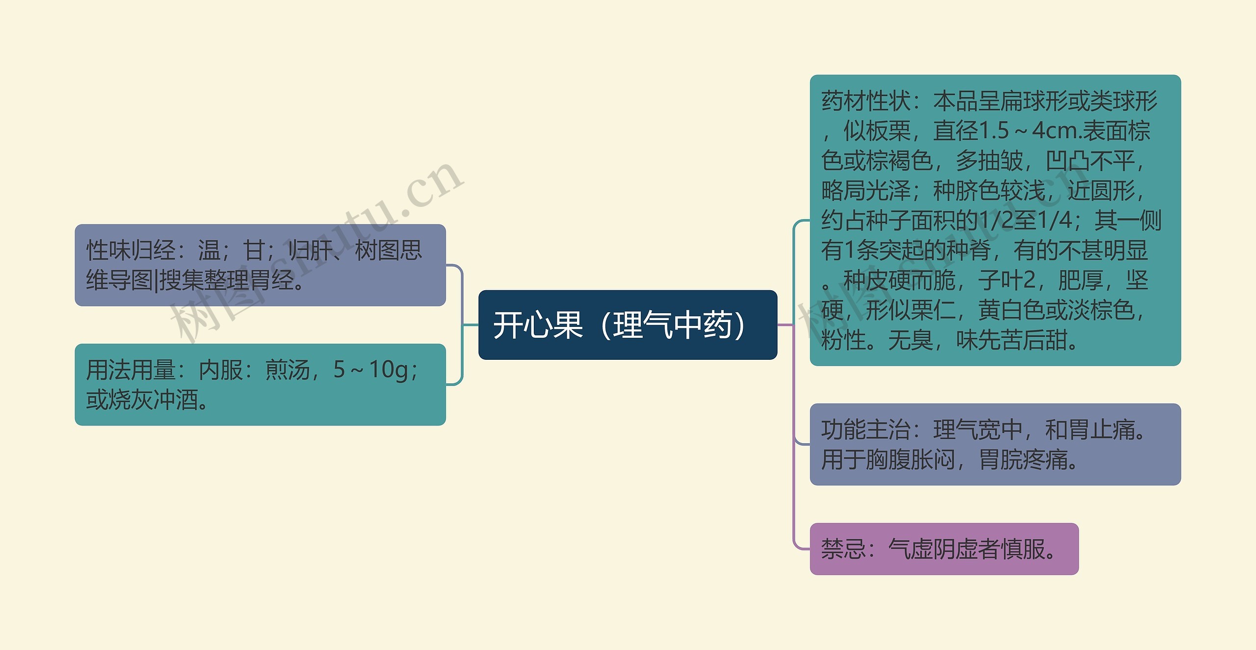 开心果（理气中药）思维导图