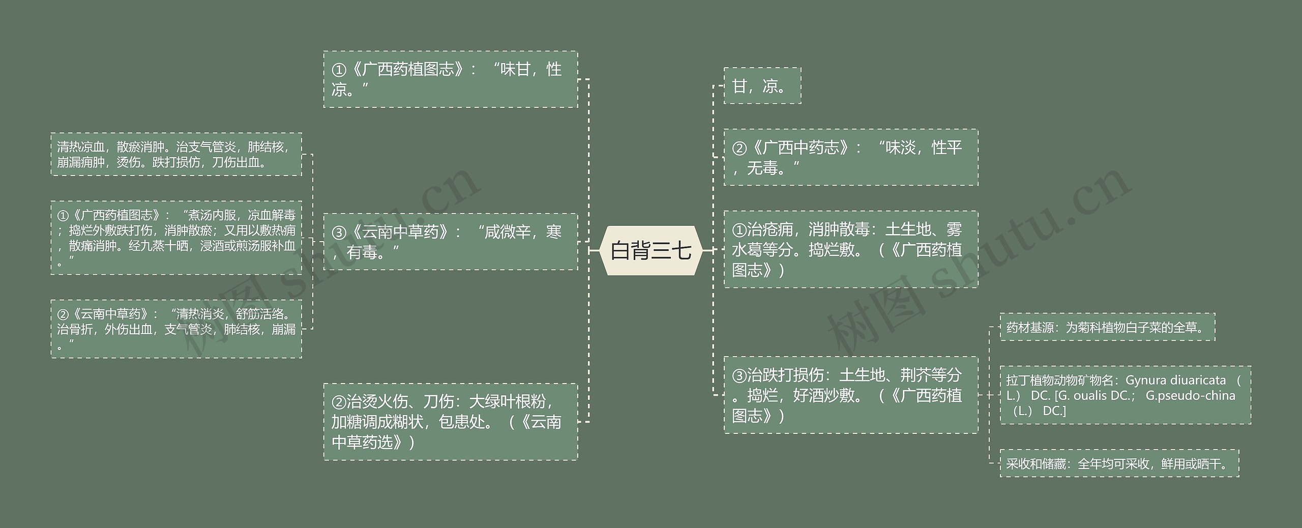 白背三七思维导图