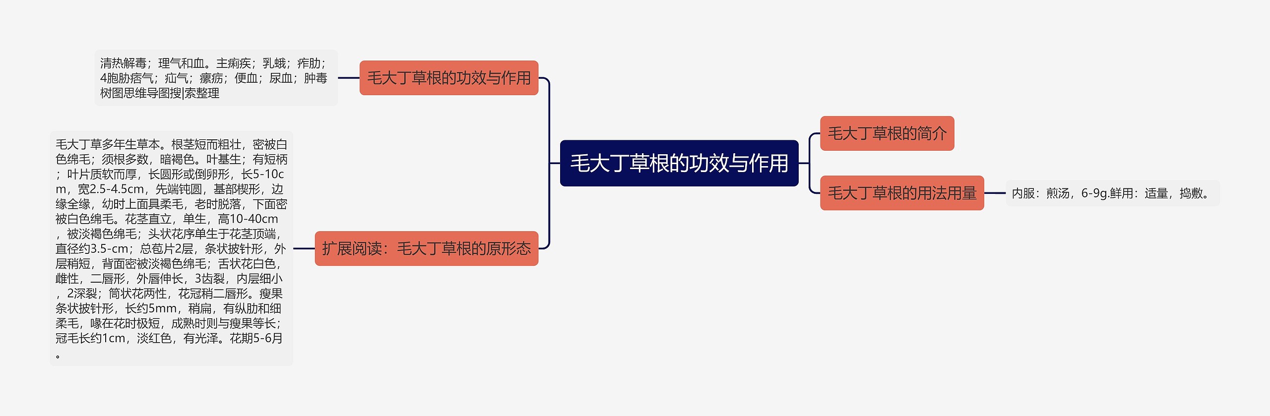 毛大丁草根的功效与作用思维导图