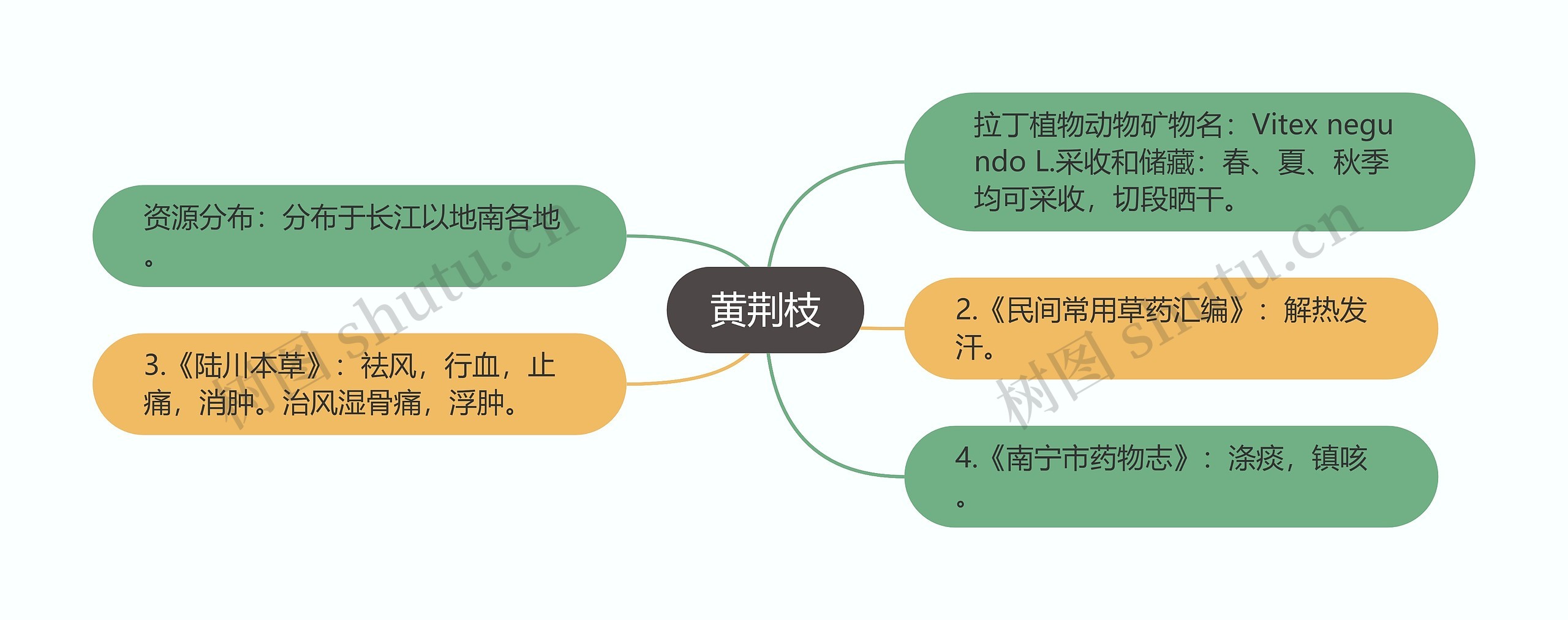 黄荆枝思维导图