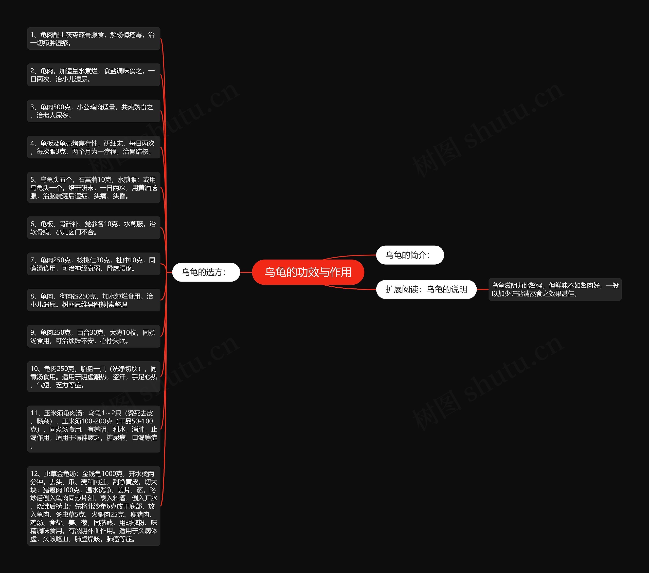乌龟的功效与作用思维导图