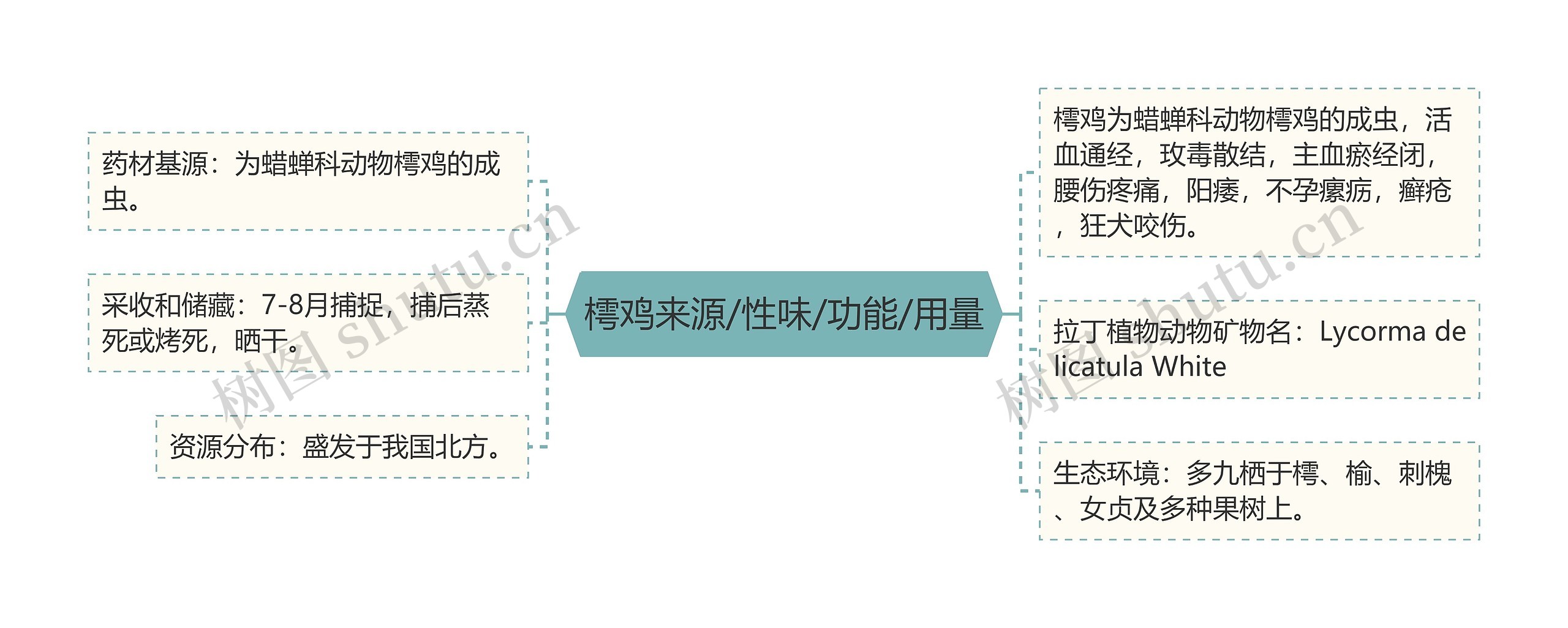 樗鸡来源/性味/功能/用量思维导图