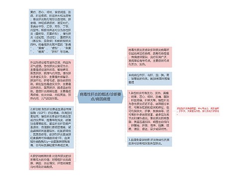 病毒性肝炎的概述/诊断要点/病因病理