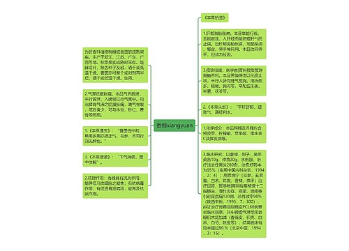 香橼xiangyuan思维导图