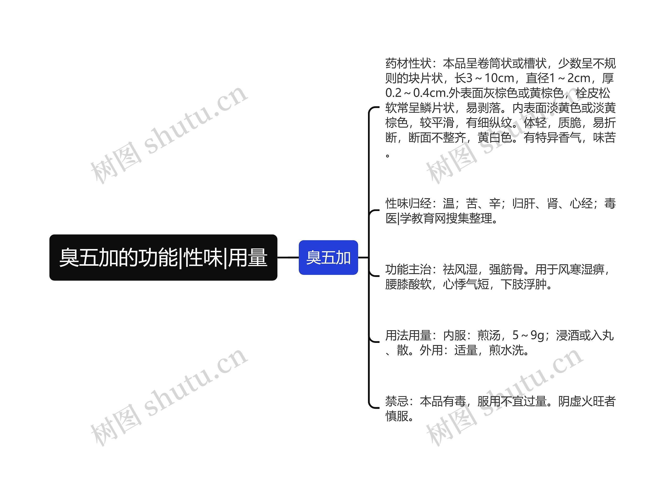 臭五加的功能|性味|用量 臭五加的功能|性味|用量