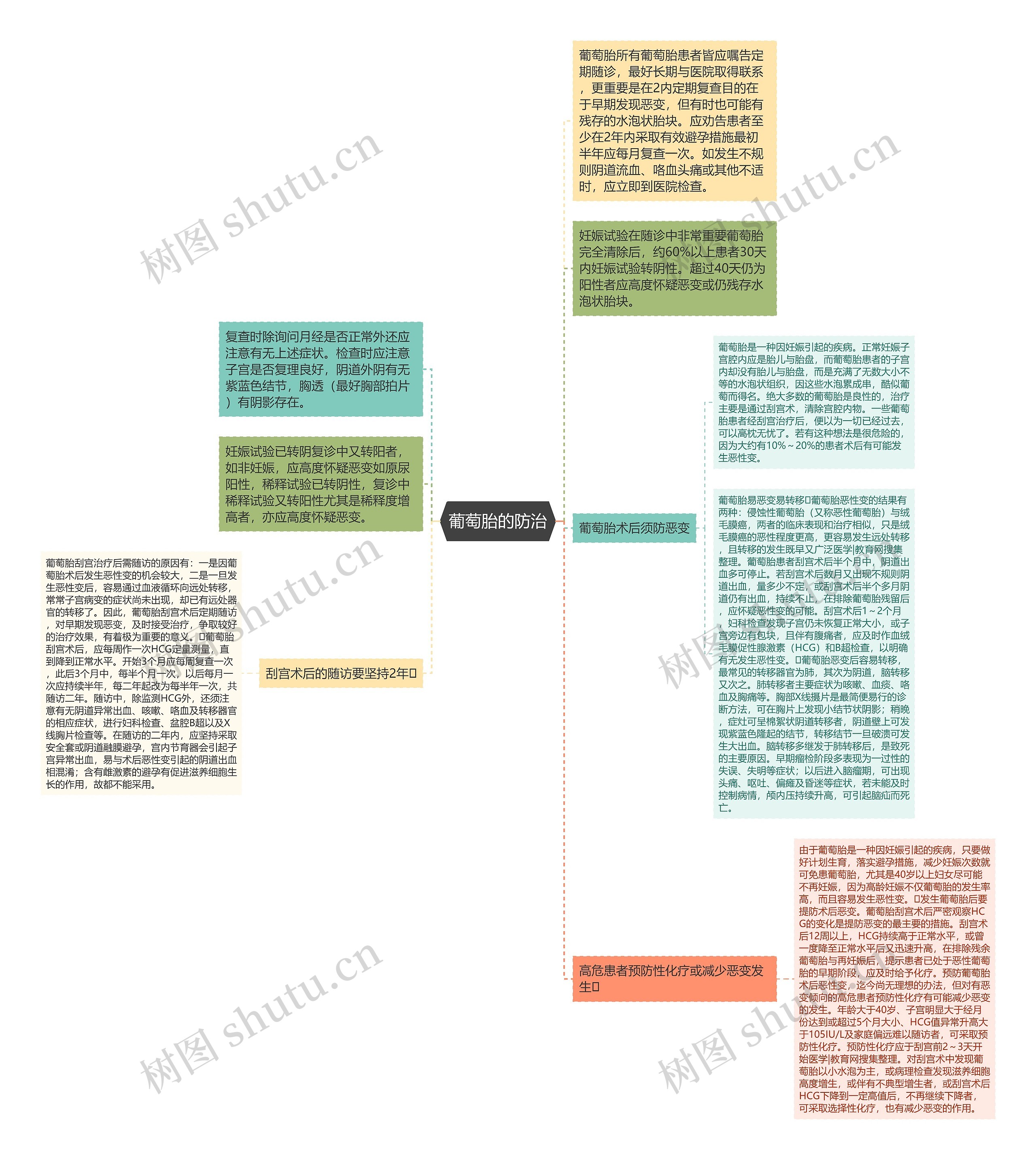 葡萄胎的防治思维导图
