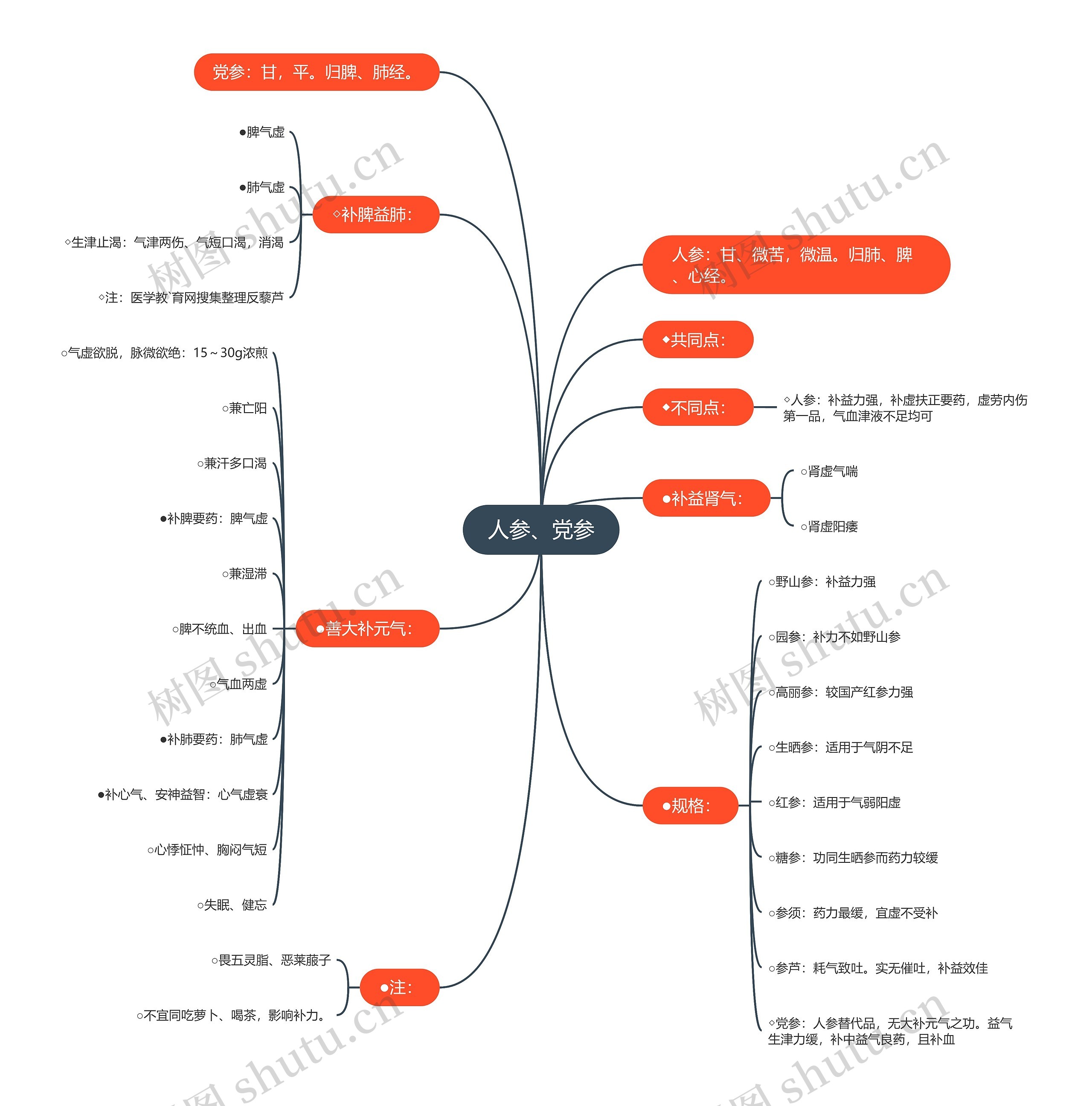 人参、党参思维导图
