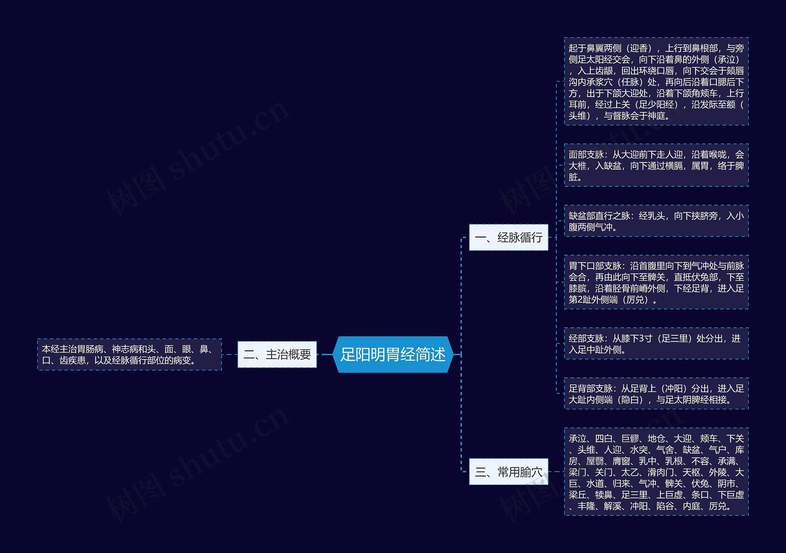 足阳明胃经简述思维导图