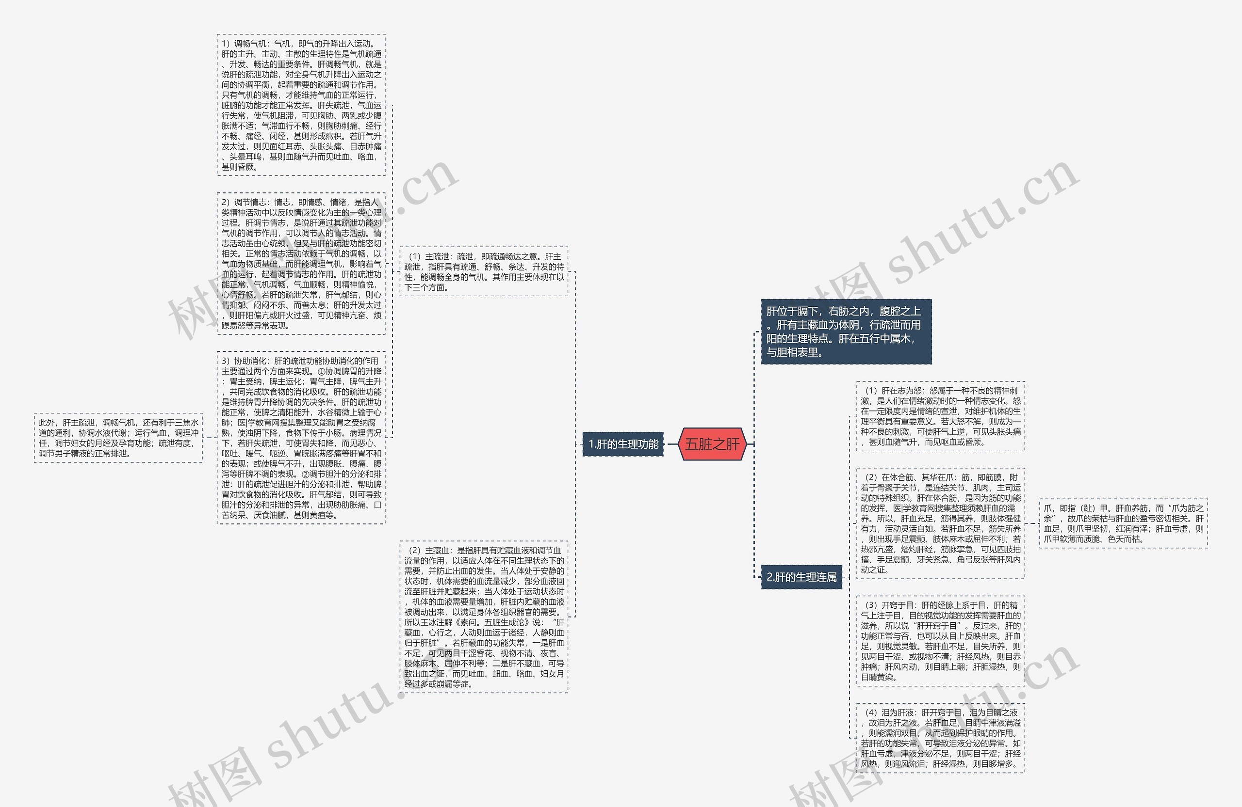 五脏之肝思维导图