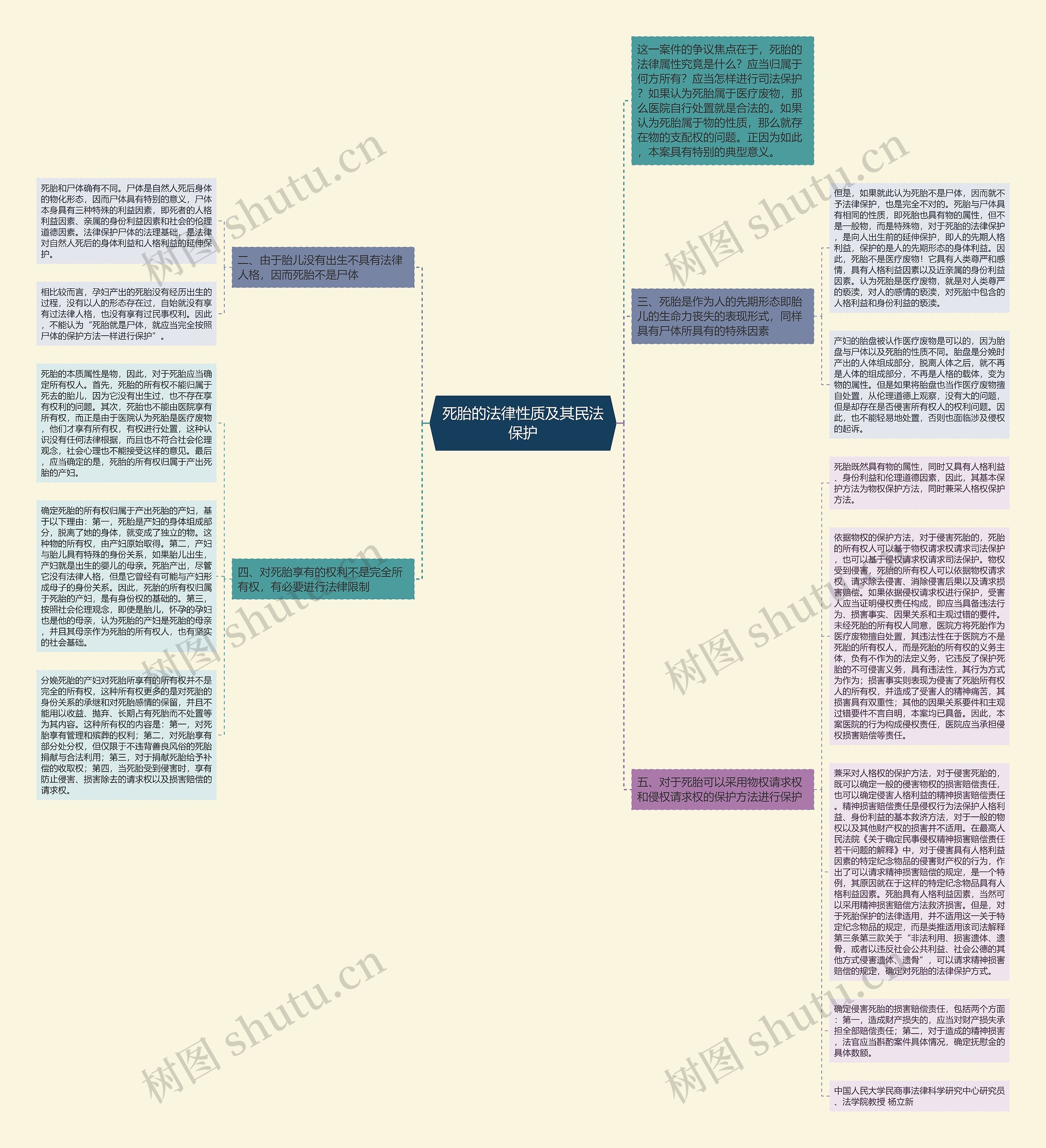 死胎的法律性质及其民法保护思维导图