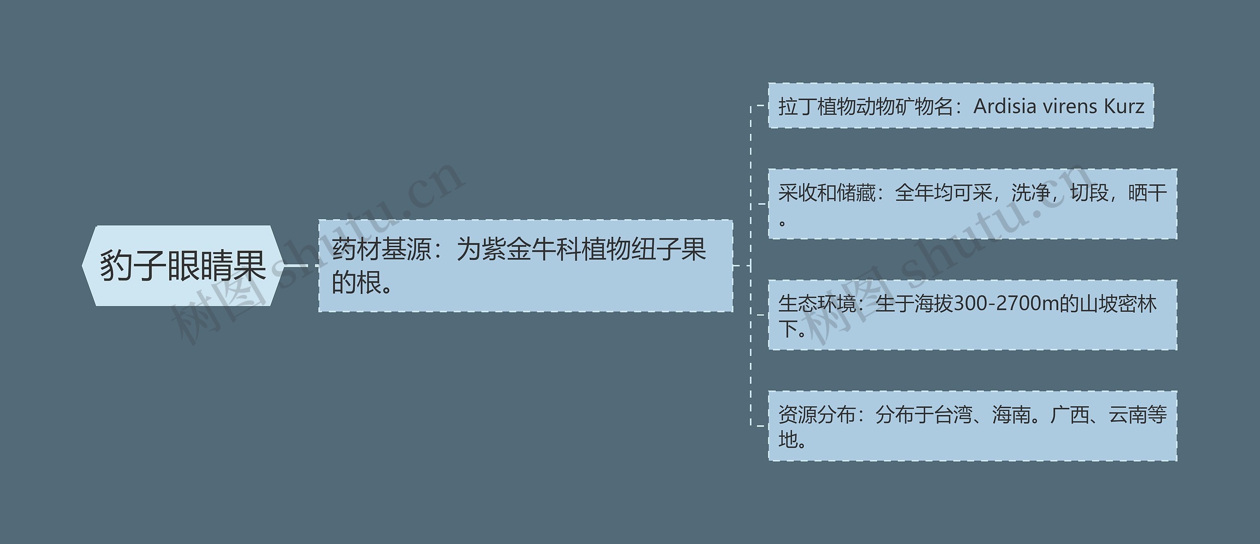 豹子眼睛果 豹子眼睛果