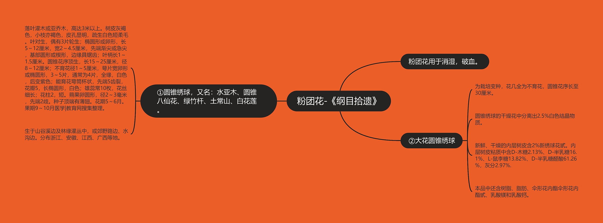 粉团花-《纲目拾遗》 粉团花-《纲目拾遗》