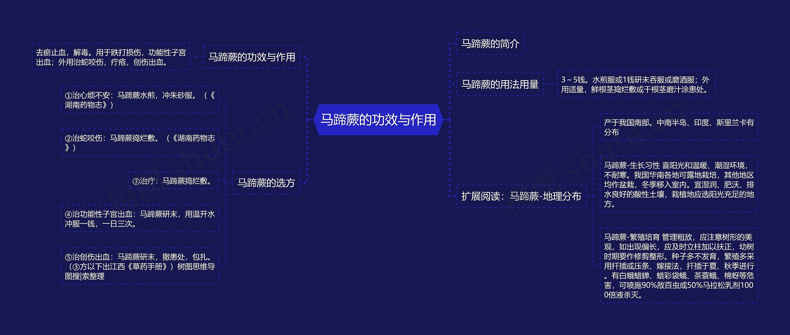马蹄蕨的功效与作用 马蹄蕨的功效与作用