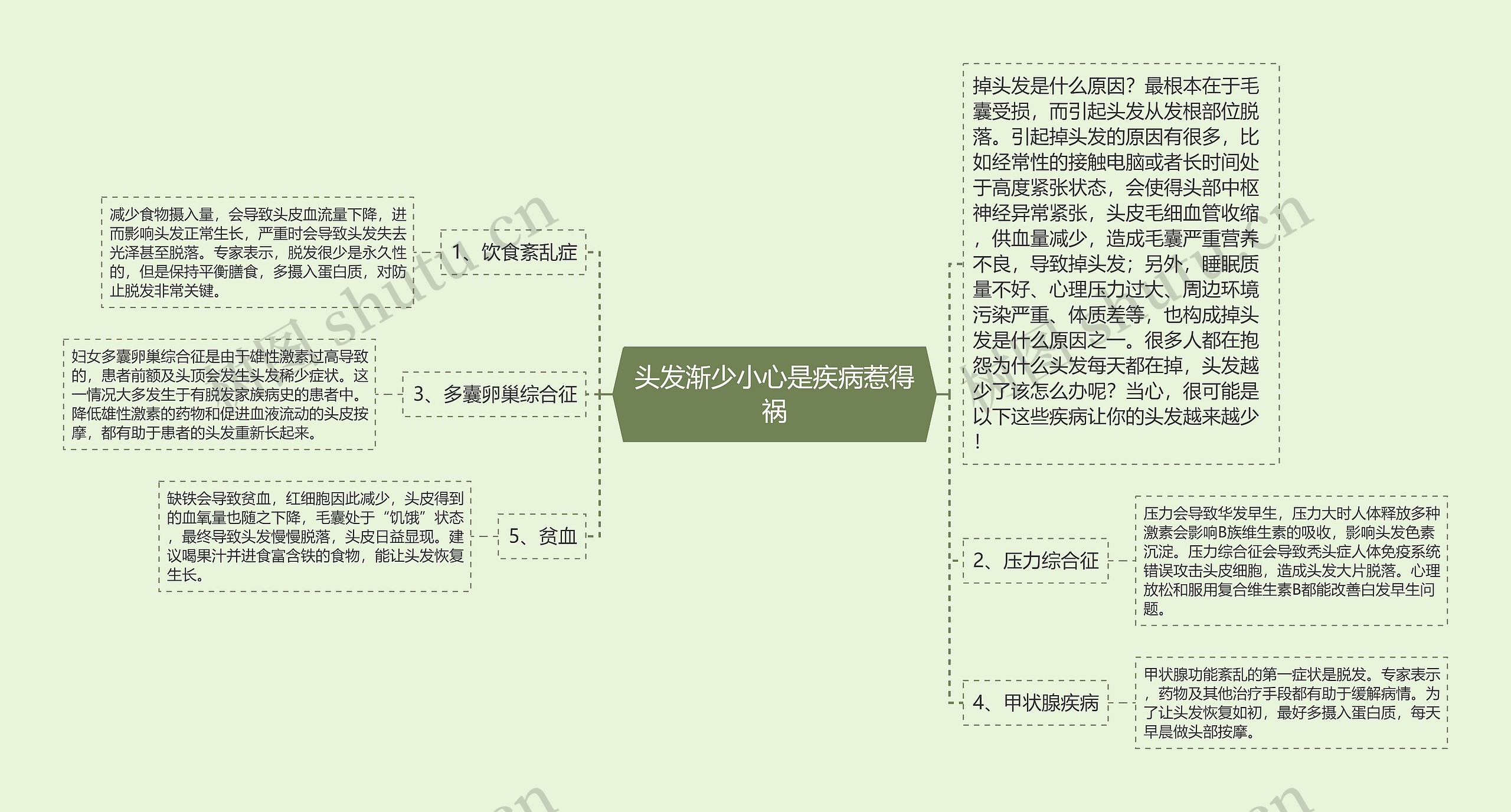 头发渐少小心是疾病惹得祸思维导图