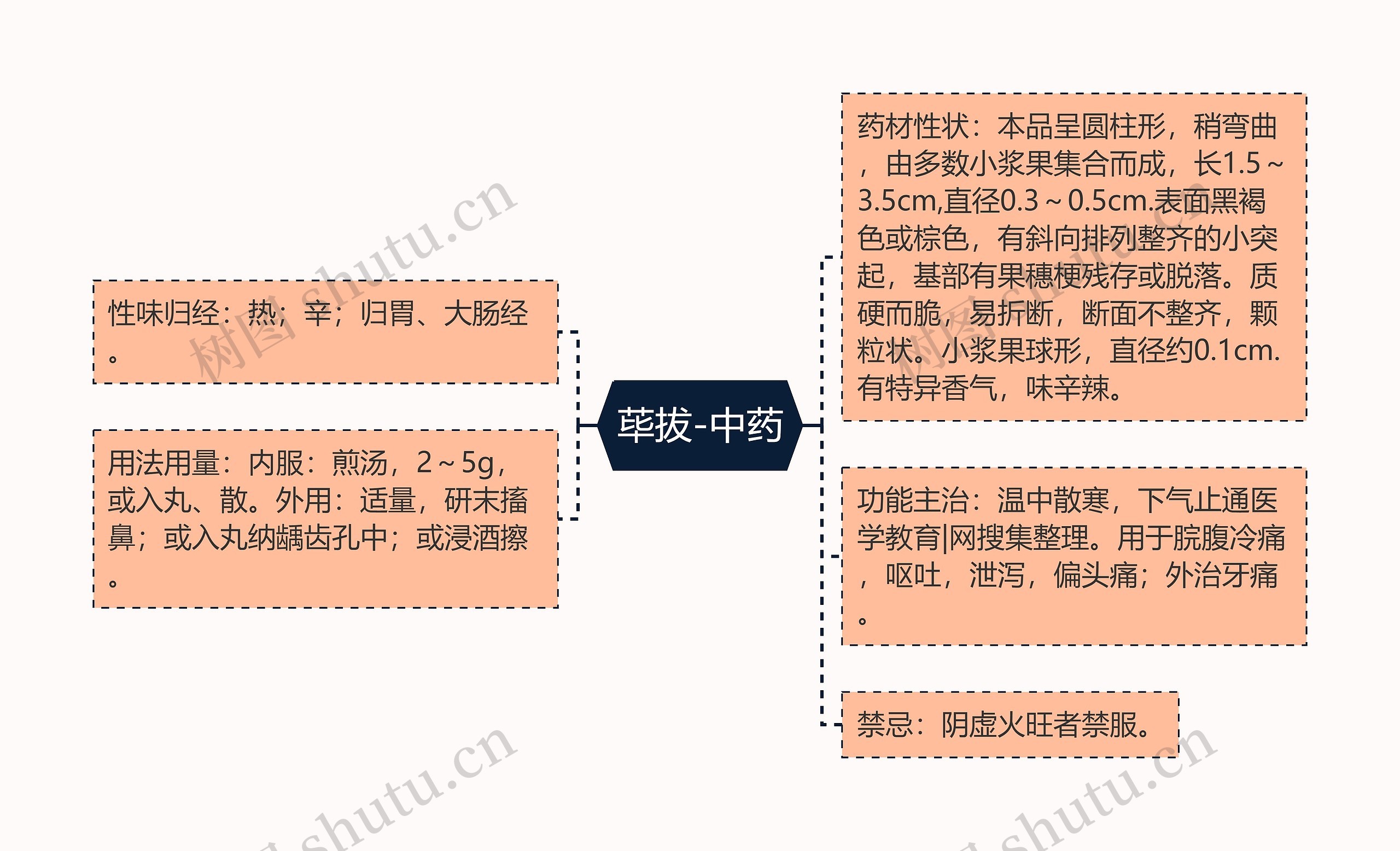 荜拔-中药思维导图